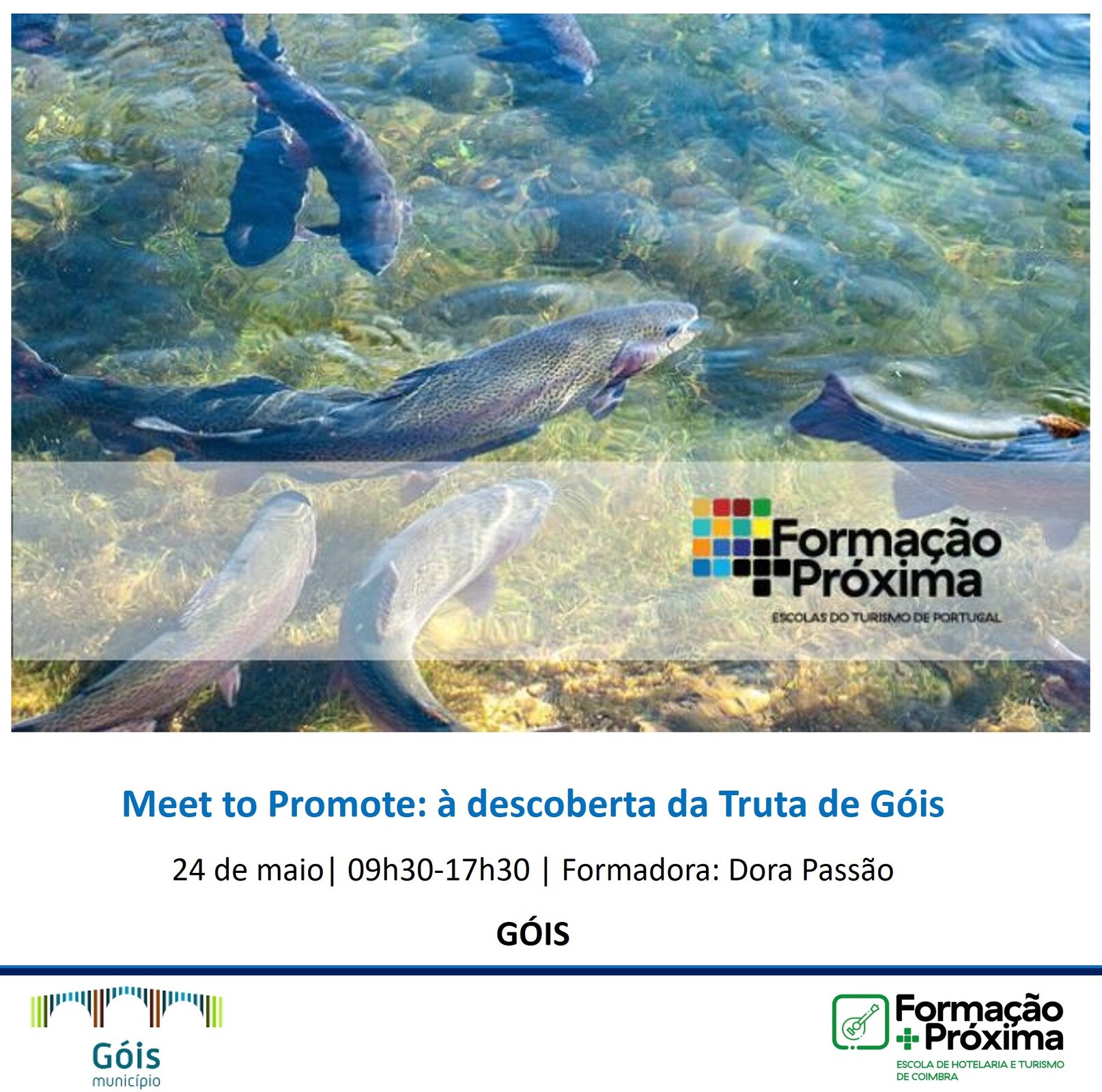Ação de Formação “Meet to Promote: à descoberta da Truta de Góis”