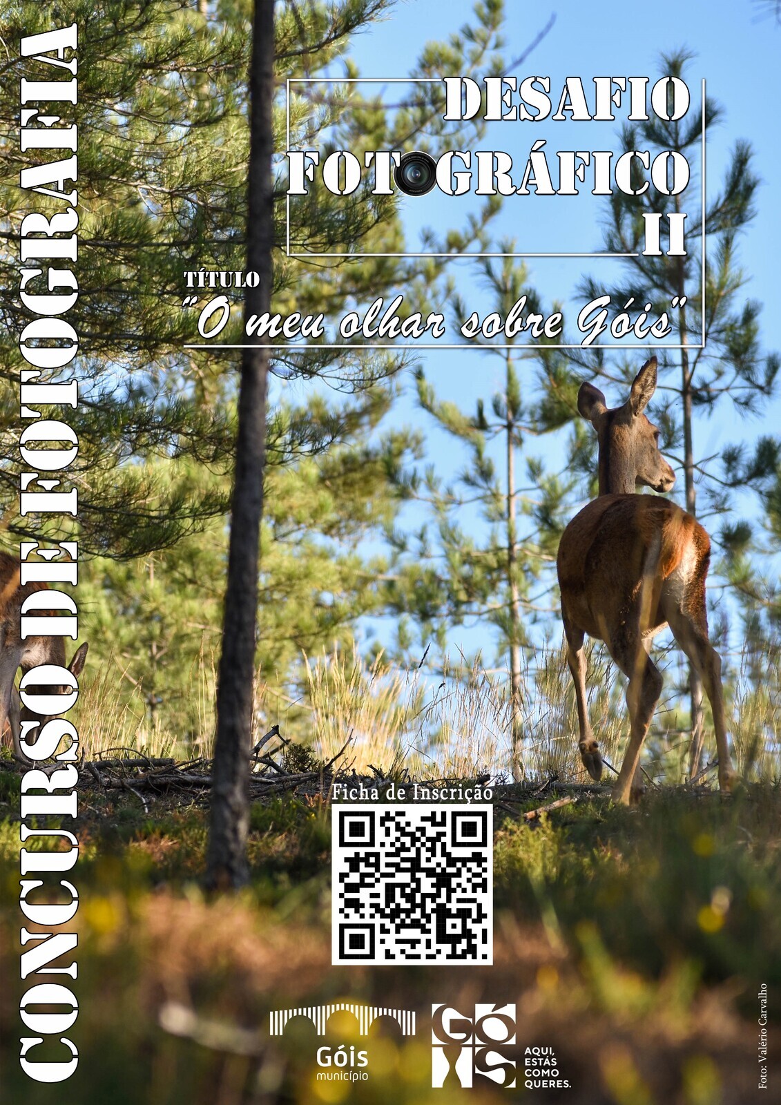 2.º Desafio Fotográfico – “O meu olhar sobre Góis”