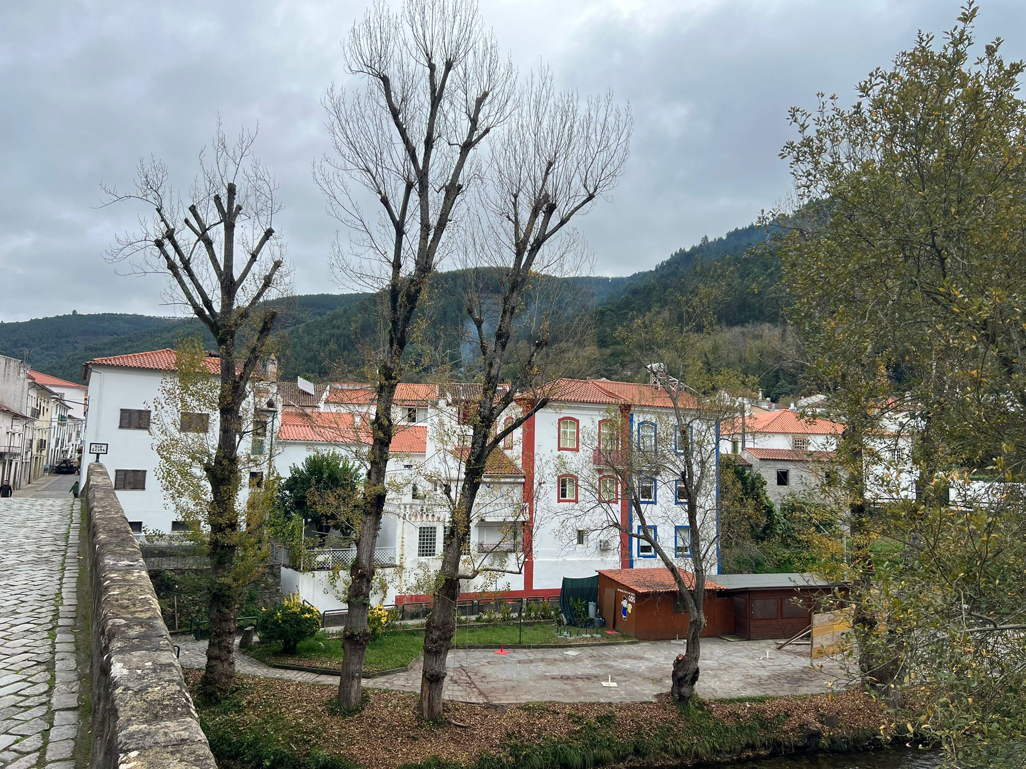 Intervenção “Podas do Arvoredo Urbano de Góis”