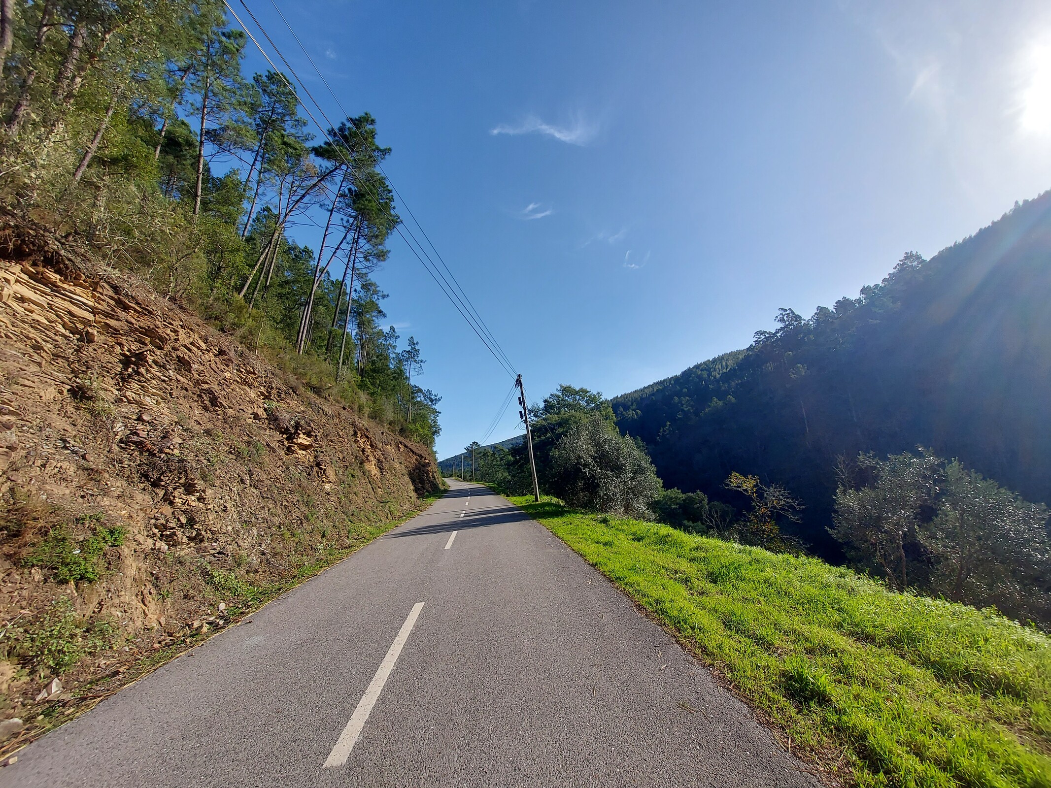 Góis continua a apostar na defesa da floresta contra incêndios