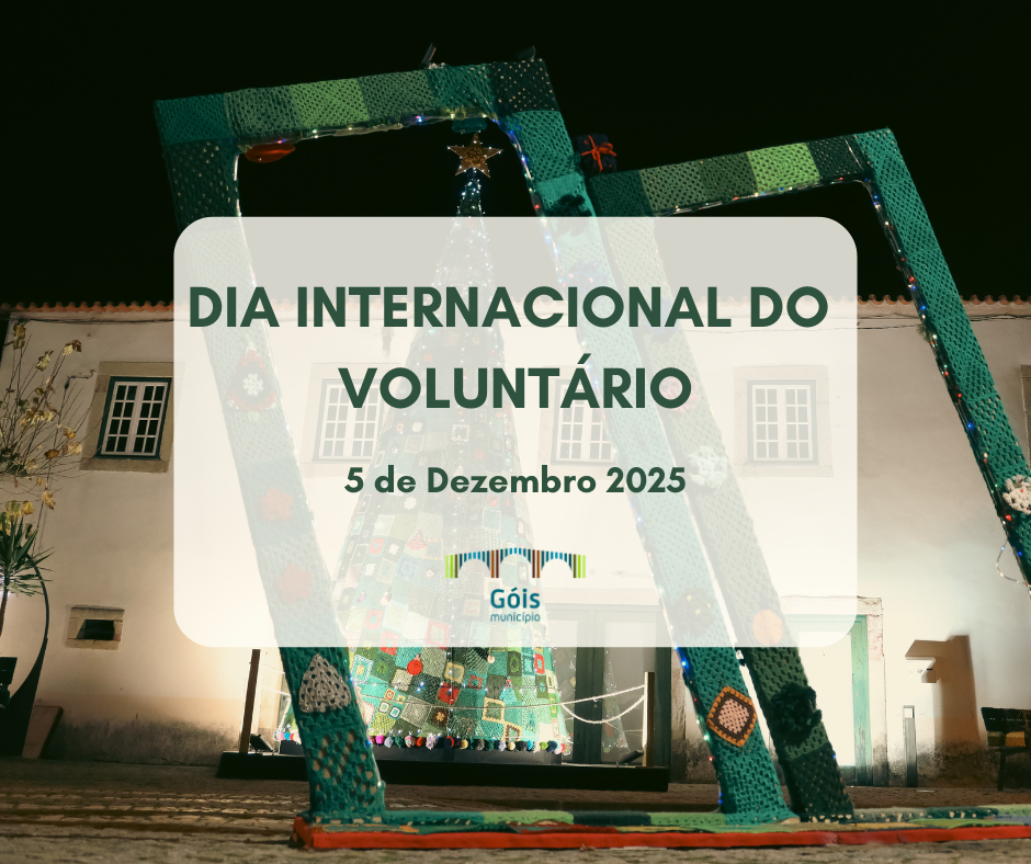 Dia Internacional do Voluntário - 5 de Dezembro 