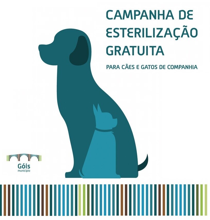 Resultado da Campanha de Esterilização de Animais de Companhia 2024