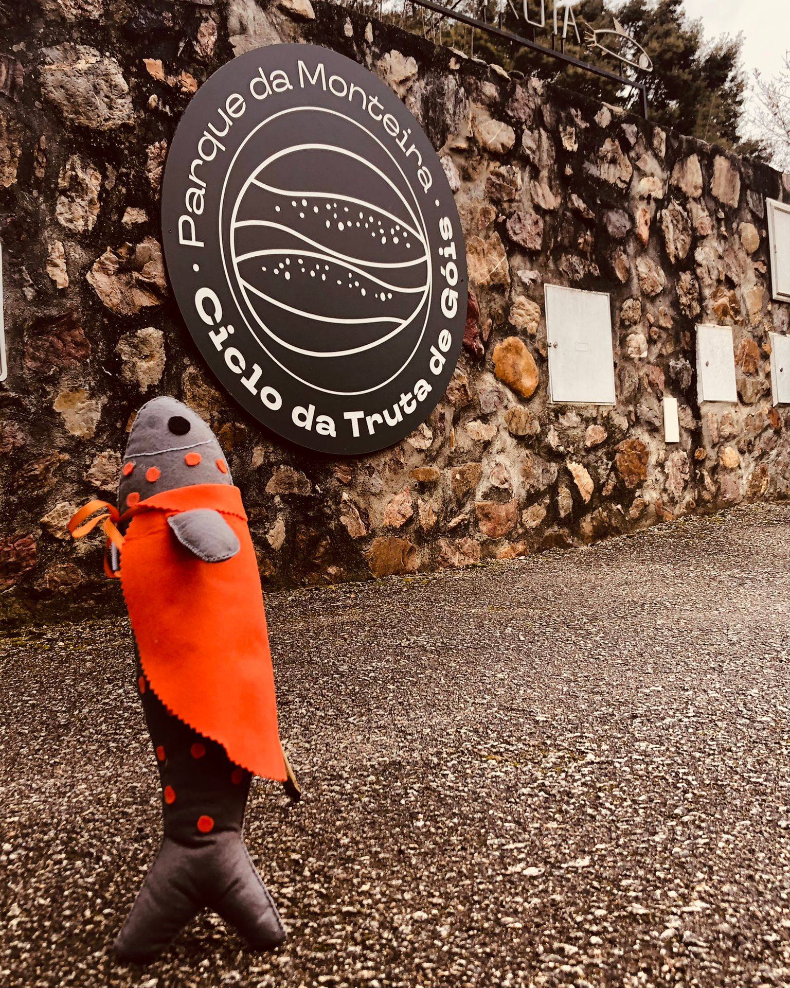 Dia Mundial da Educação Ambiental