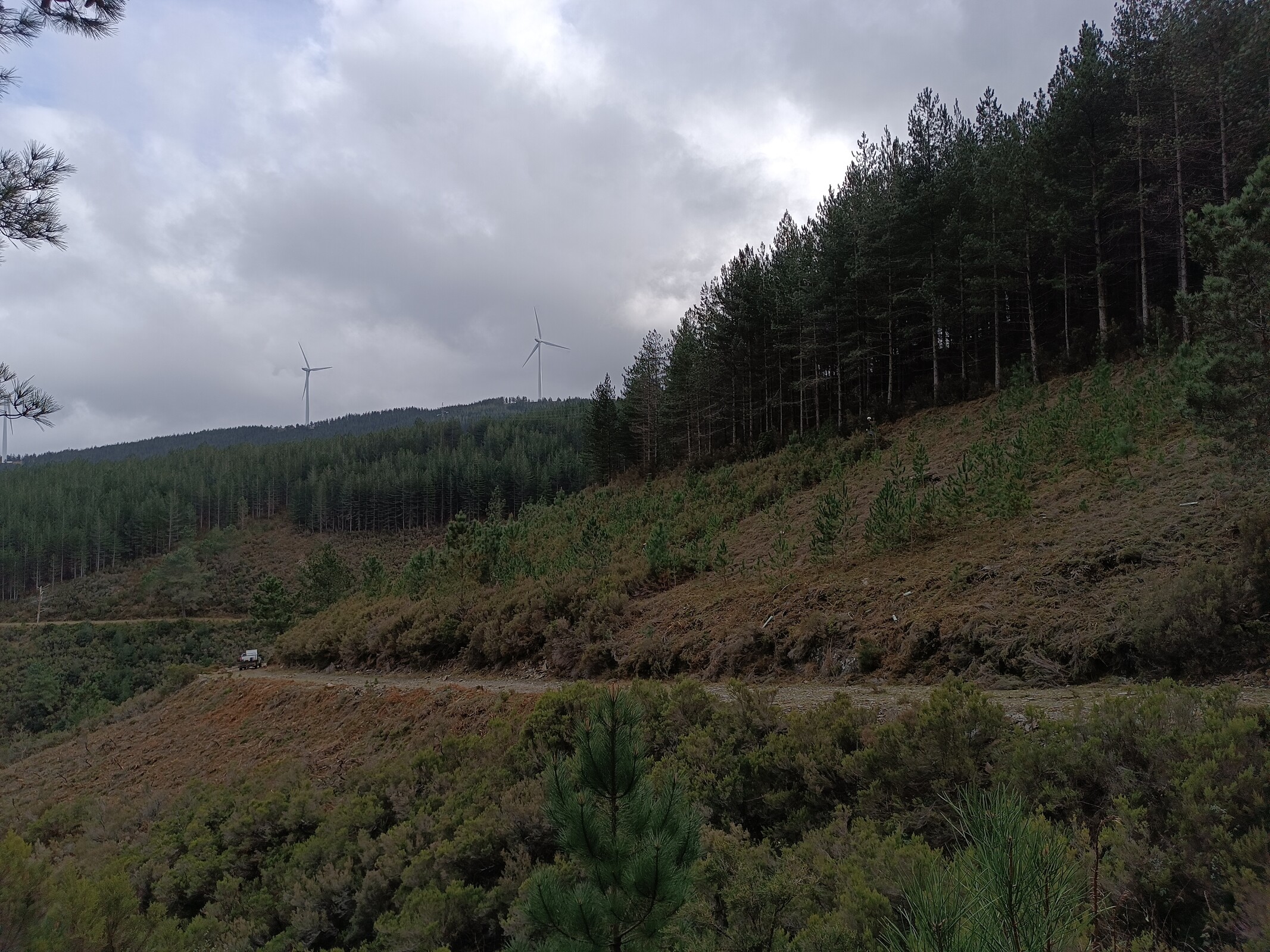 Projeto PDR-2020-813-103830 - Instalação de Mosaicos de Parcelas de Gestão de Combustível