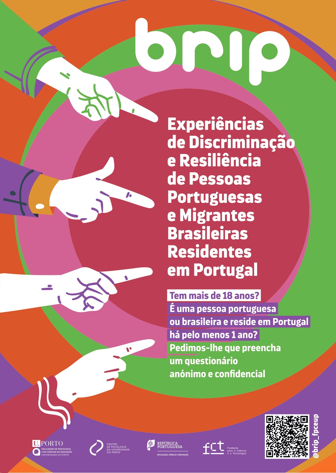 Projeto de Investigação BRIP