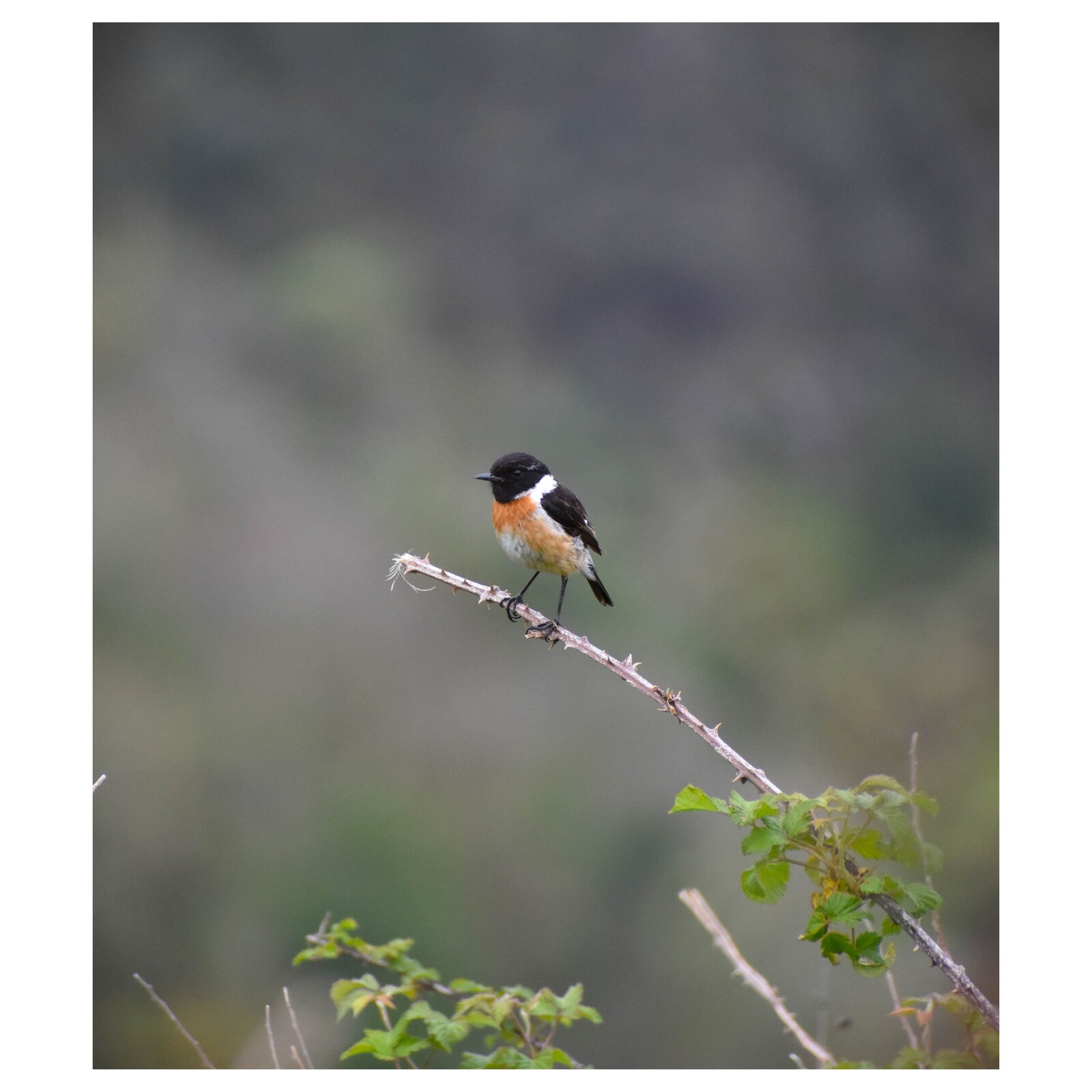 Dica de Spot - Aqui, estás como queres.