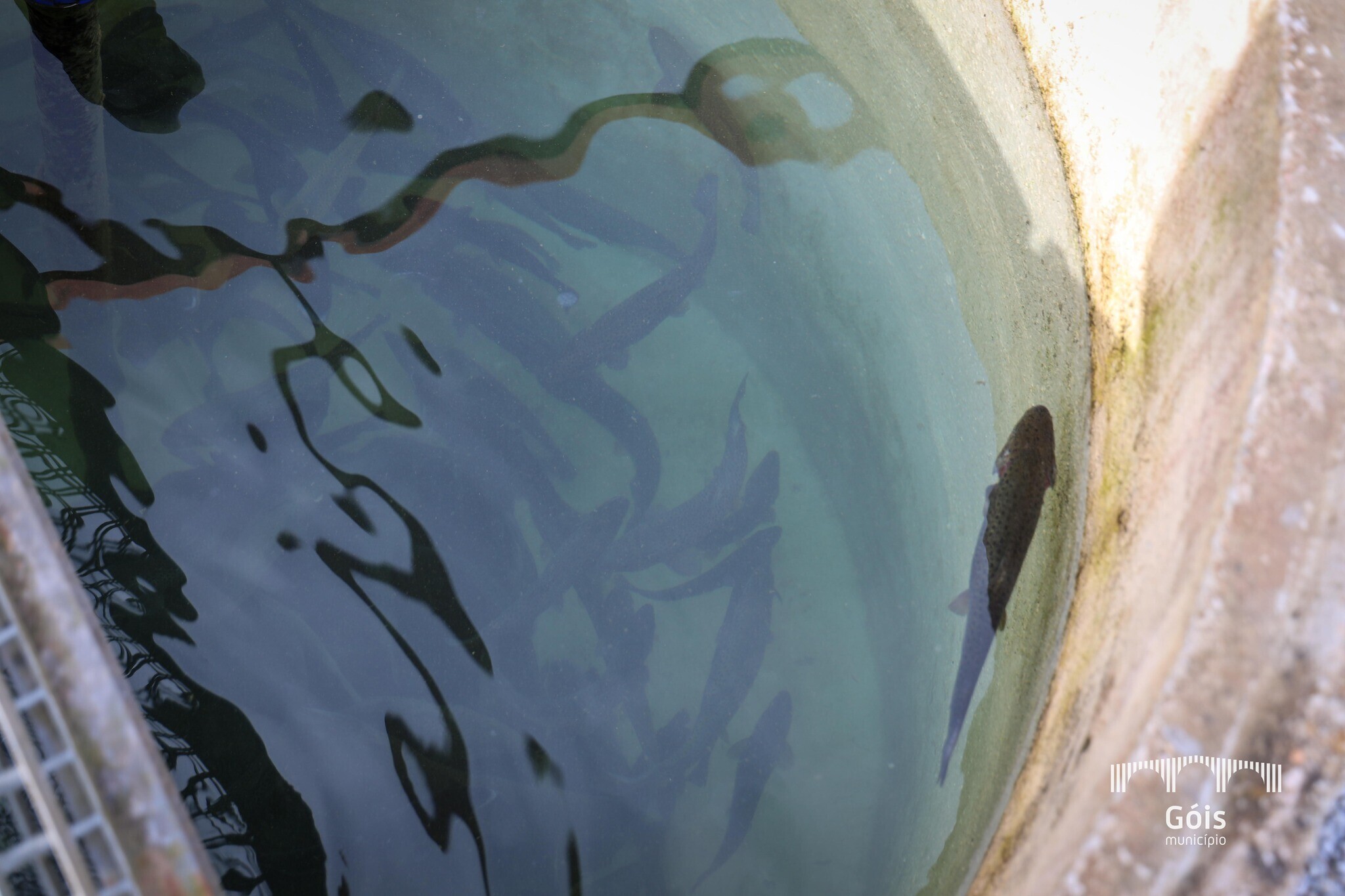 Abertura Espaço "Ciclo da Truta de Góis - Parque da Monteira"