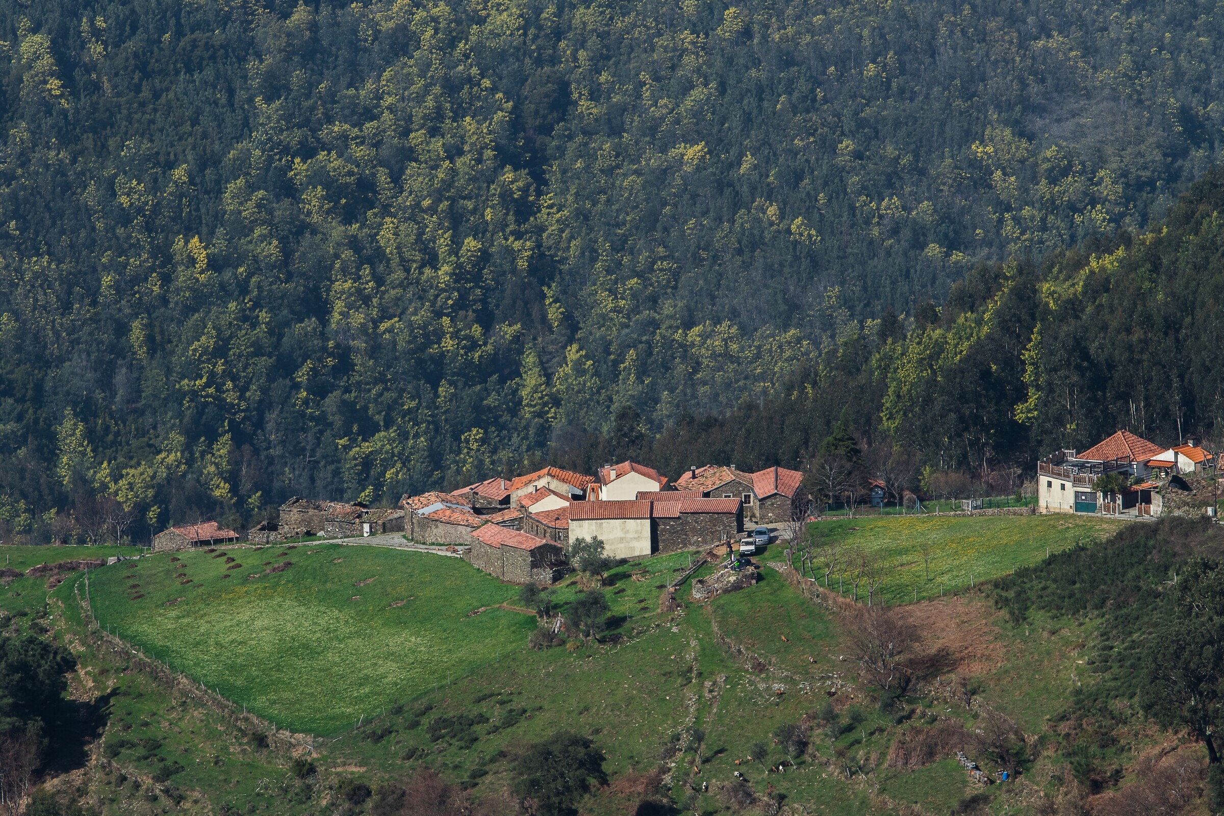 Município de Góis aprova proposta de isenção de faturas de água aos munícipes que tenham tido con...