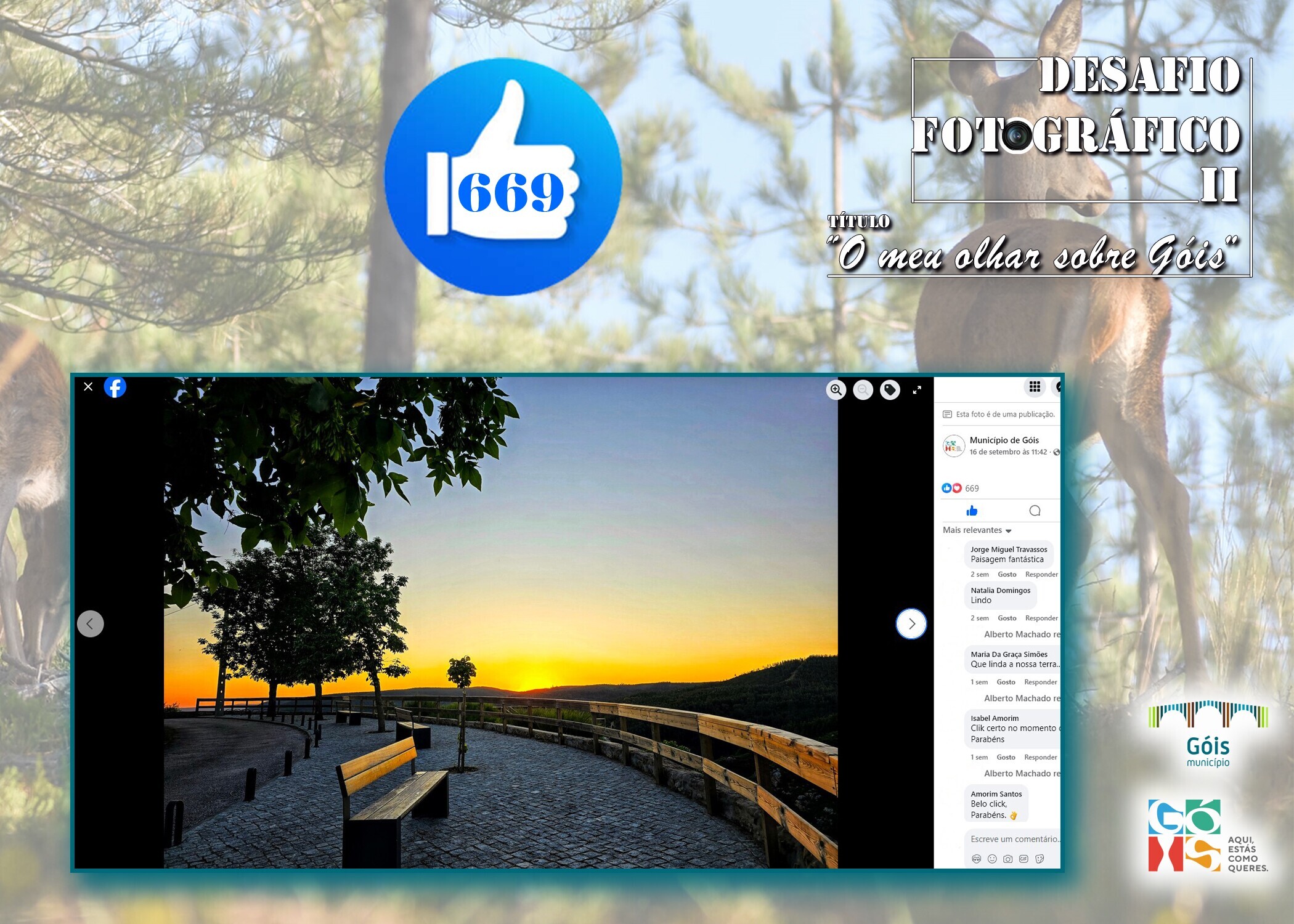 Resultado Final do Desafio Fotográfico "O meu olhar sobre Góis"