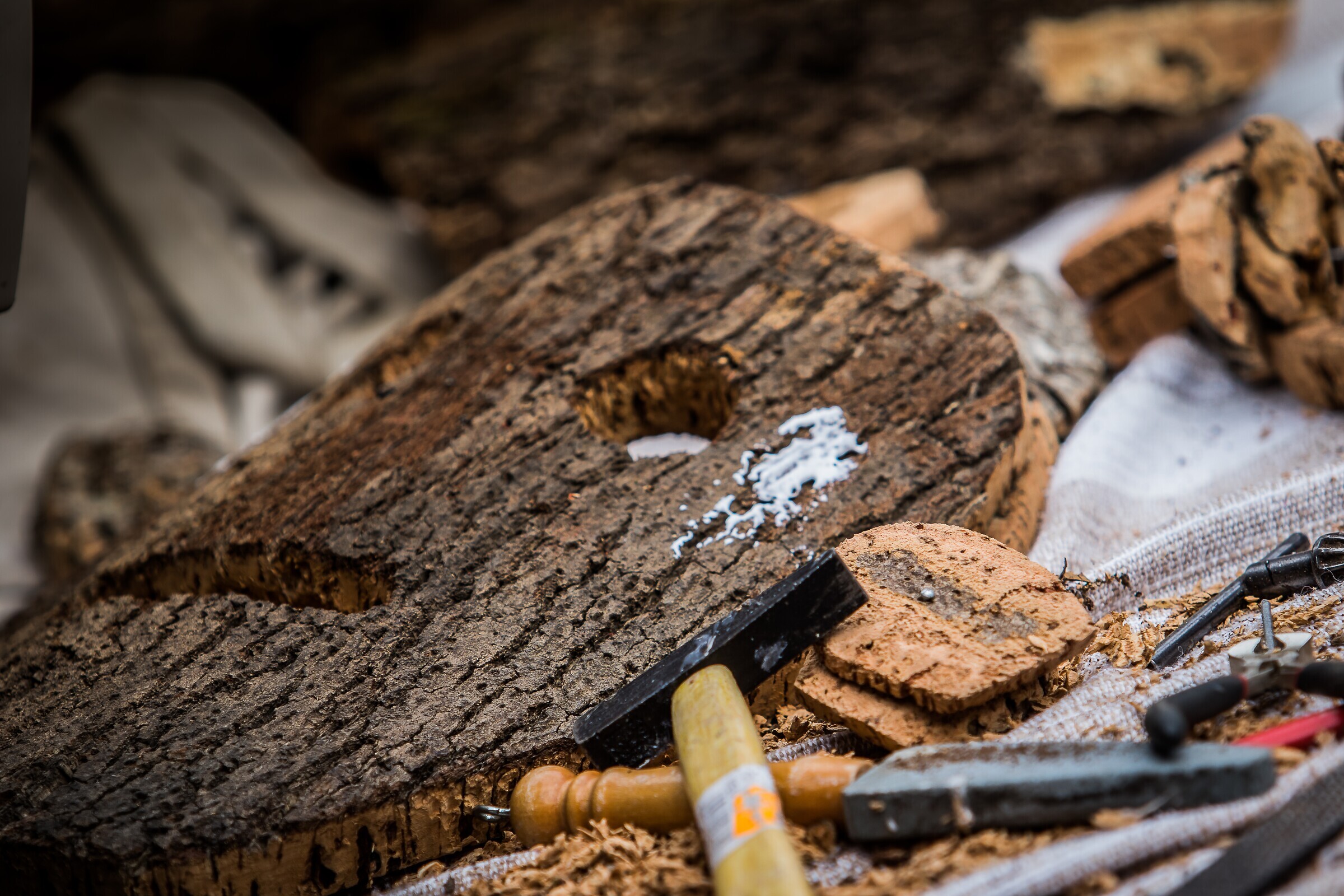 ENTRUDO DA AIGRA2017-132