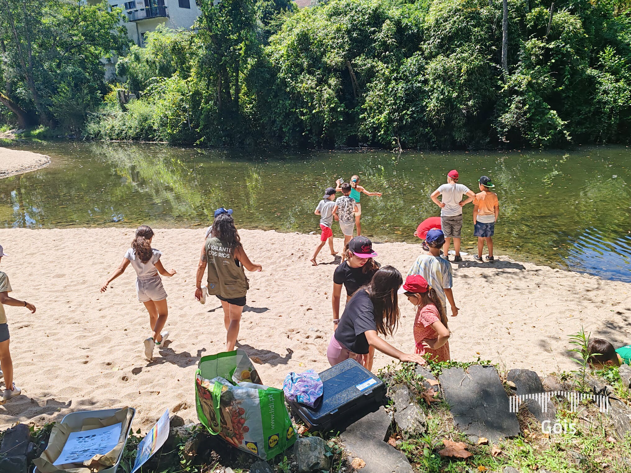 451801009_904431791723781_7298747273671254154_n