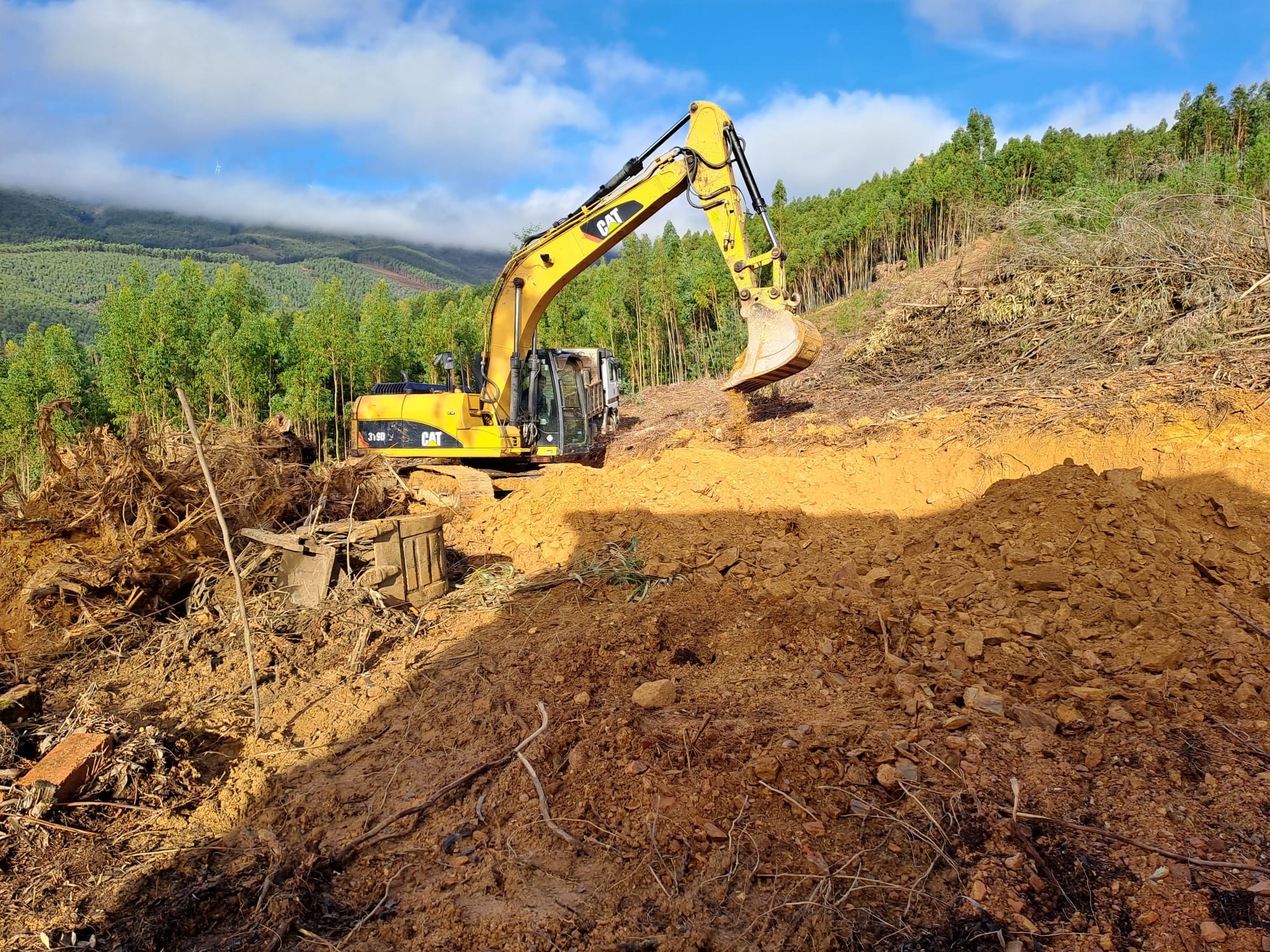 1705225714196_1_2500_2500