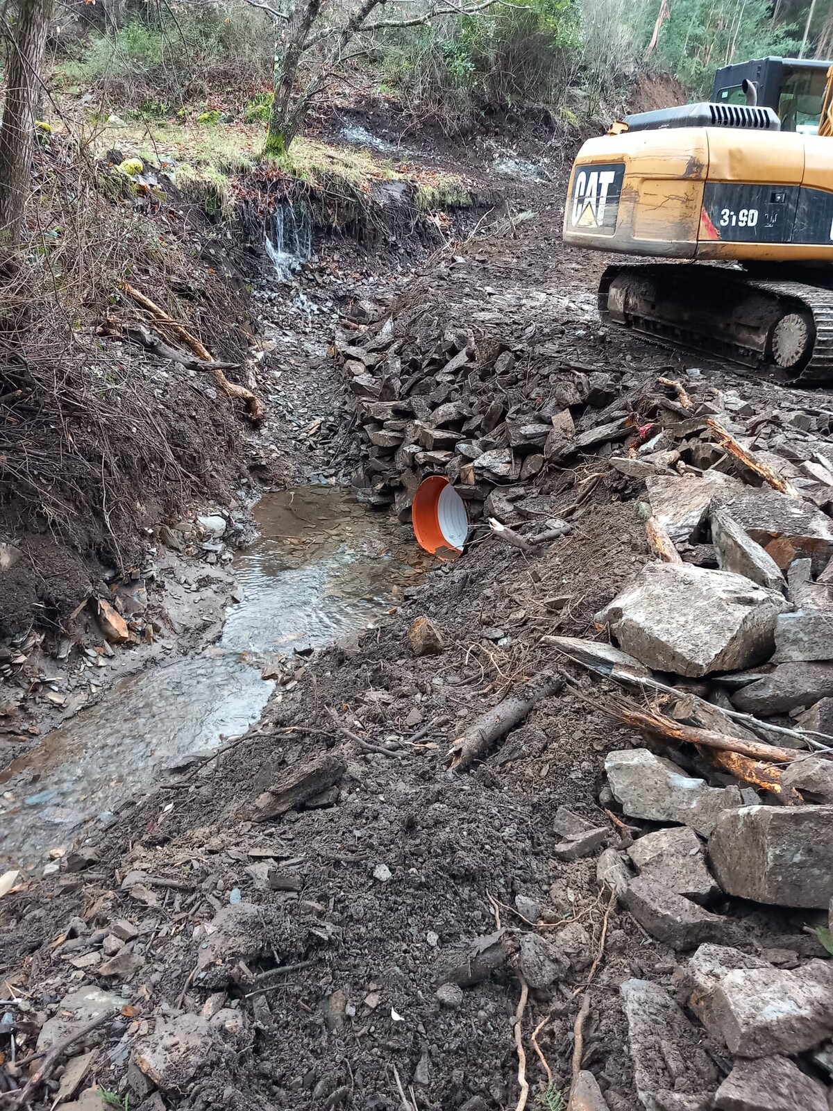 1705245871088_1_2500_2500