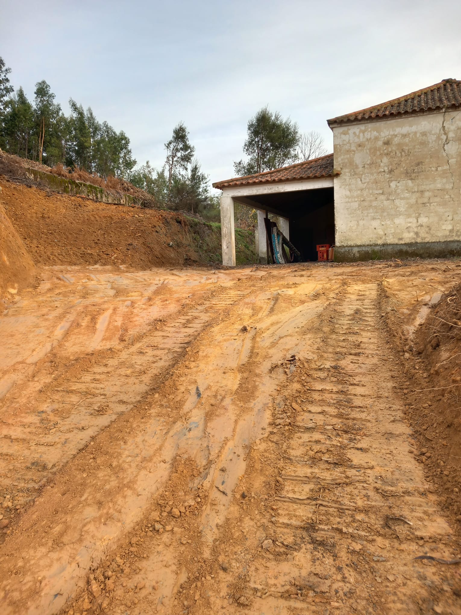 1705225714203_1_2500_2500