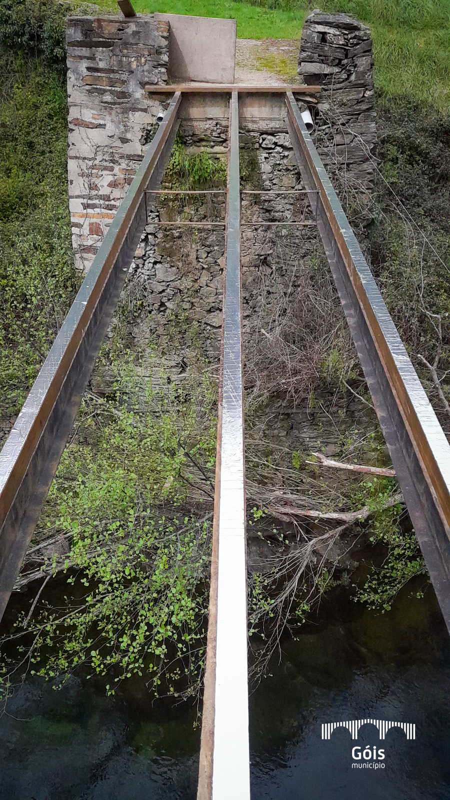 image__23__1_2500_2500