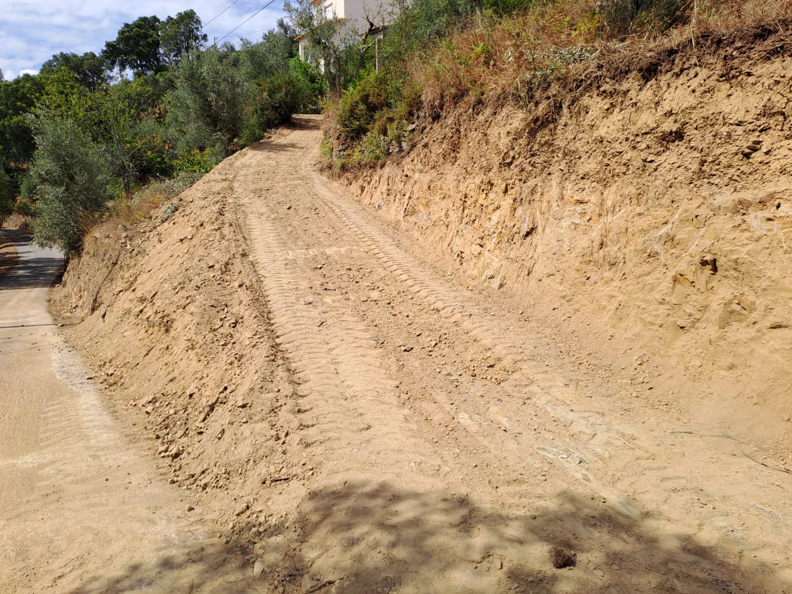 depois__8__1_2500_2500