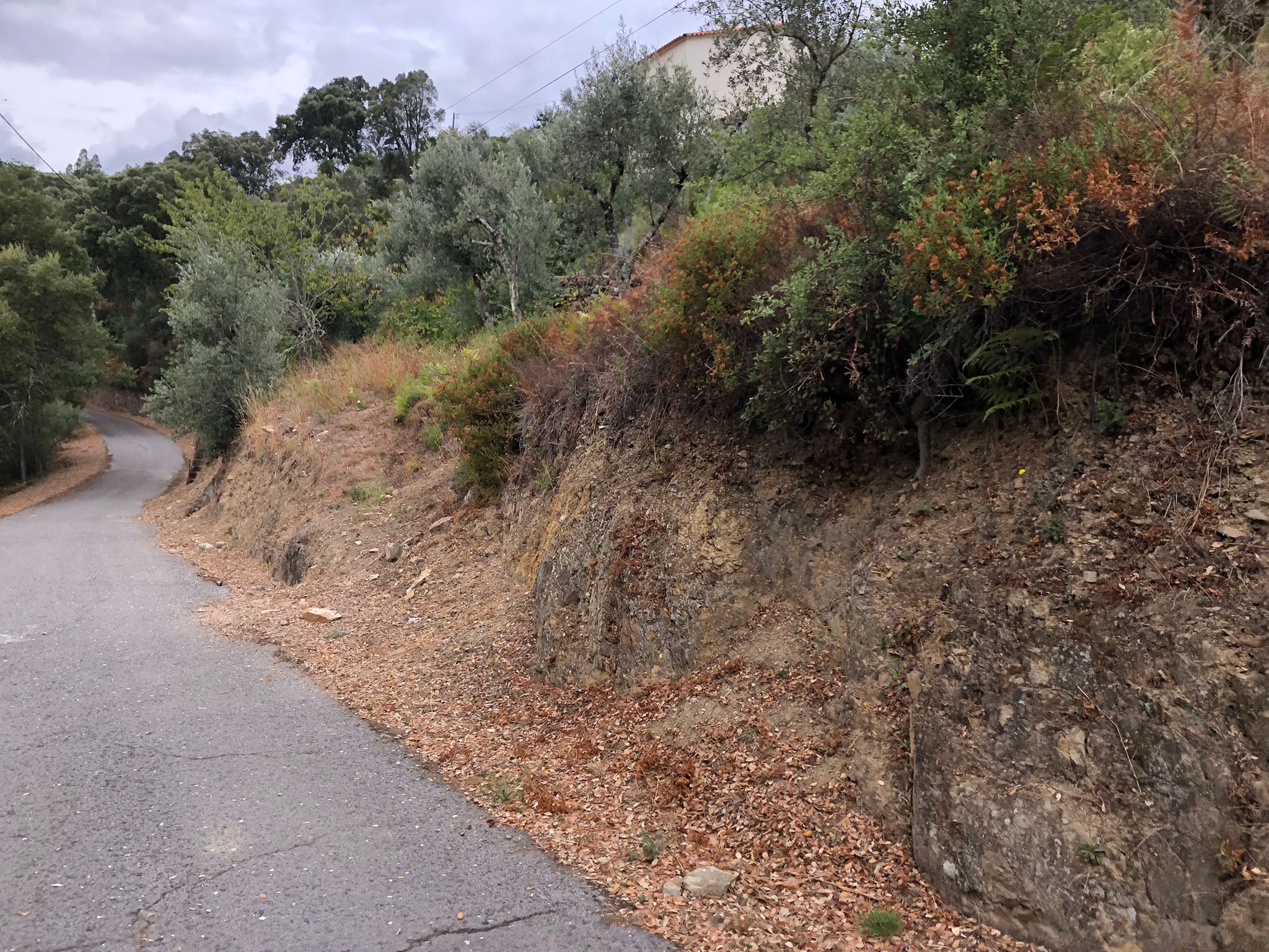 antes_e_ou_durante__9__1_2500_2500