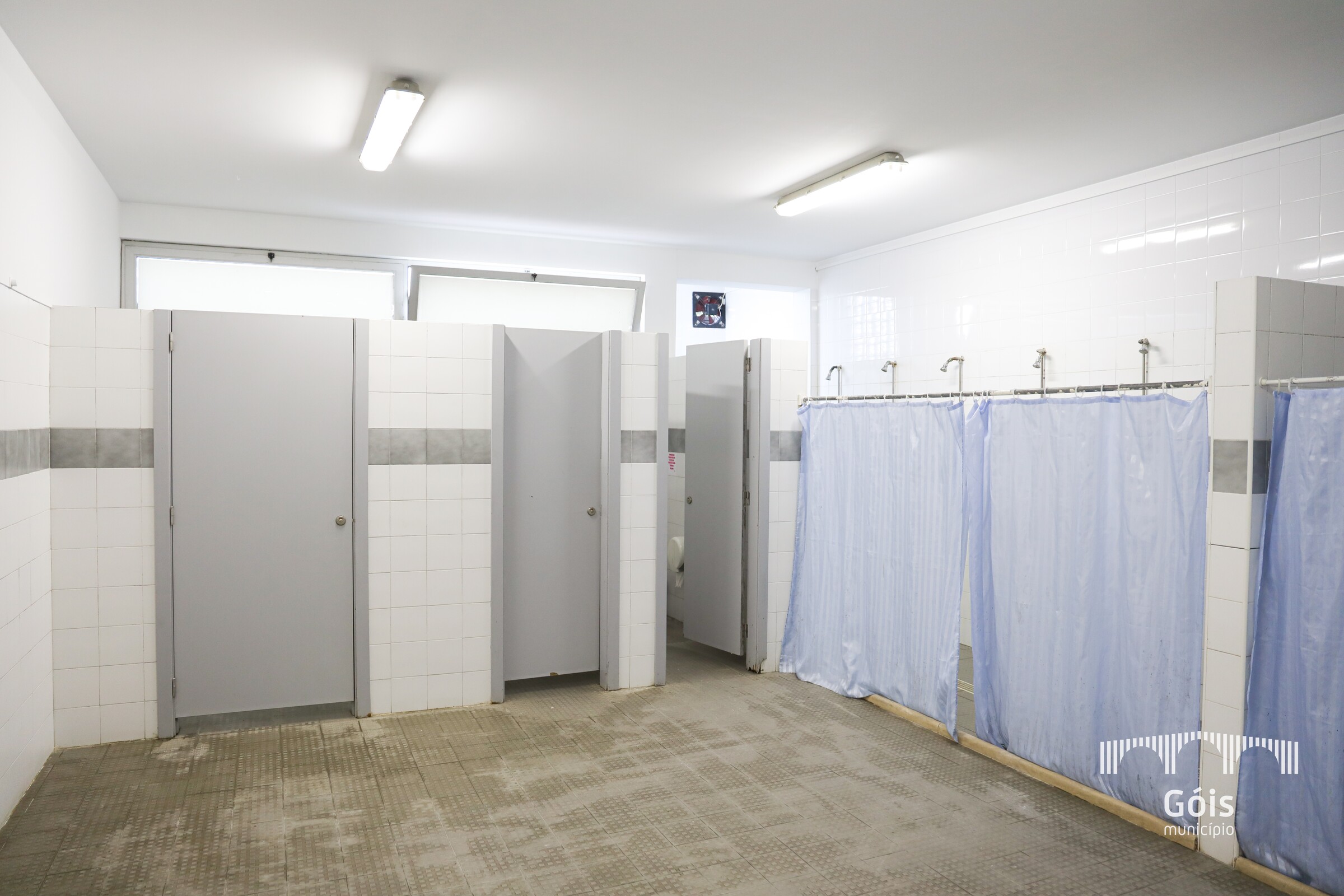 2t1a5877_1_2500_2500