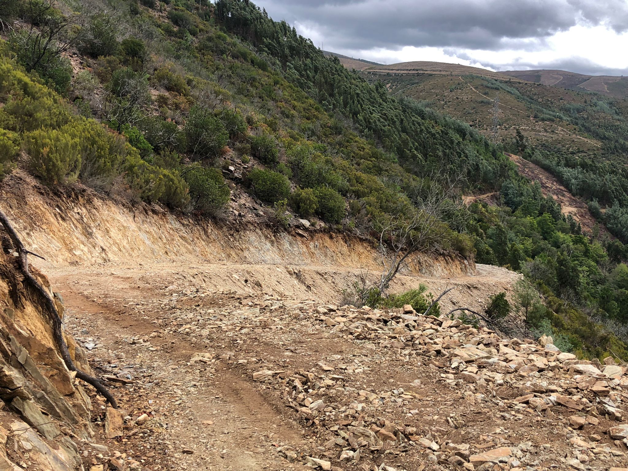 whatsapp_image__30__1_2500_2500