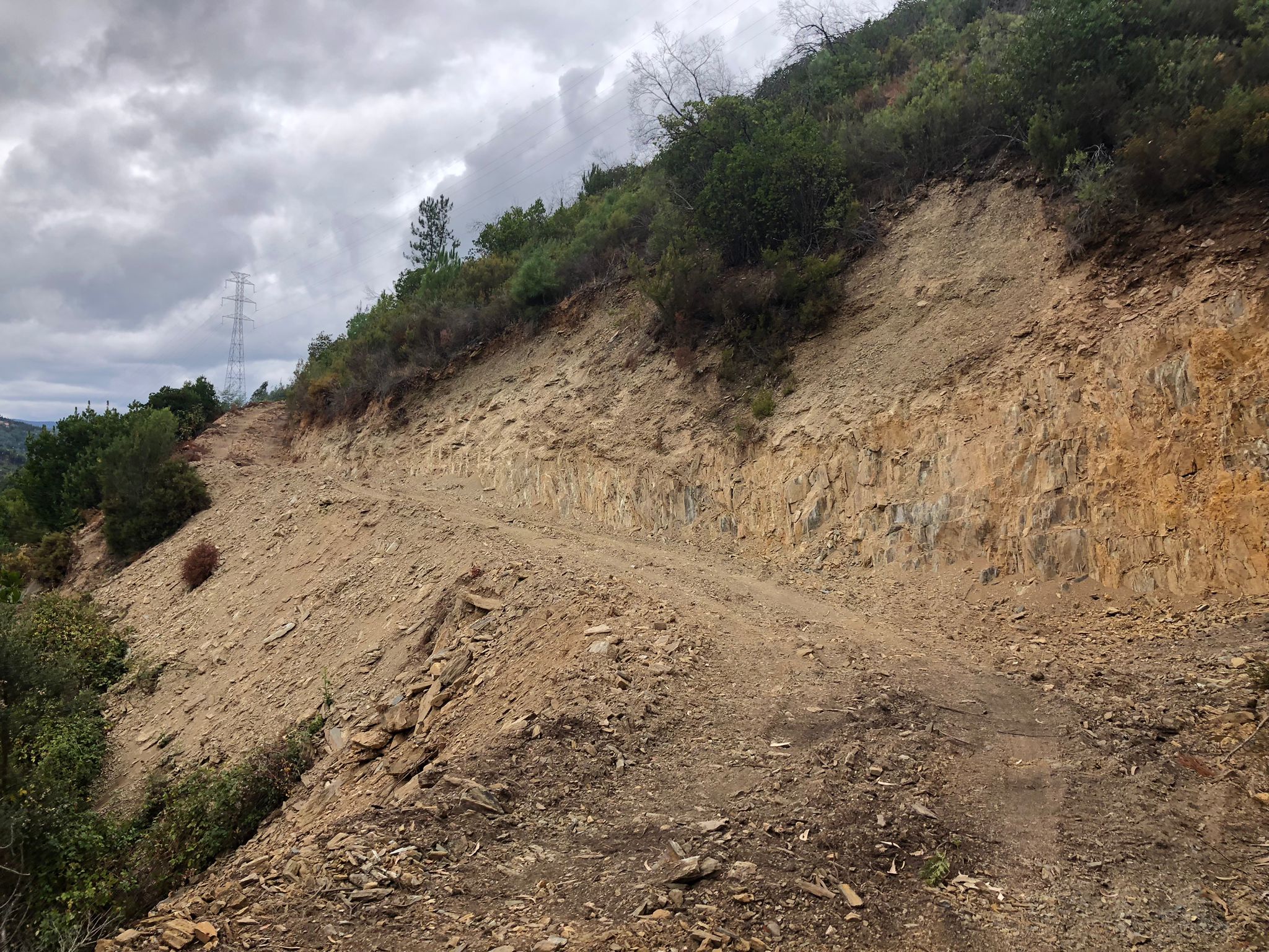 whatsapp_image__31__1_2500_2500