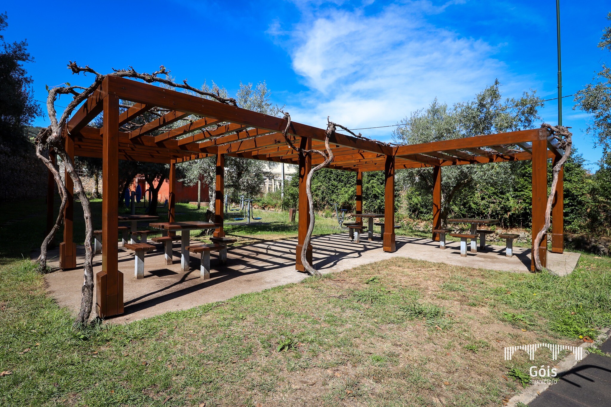 460084010_946463214187305_811888221430376638_n_1_2500_2500