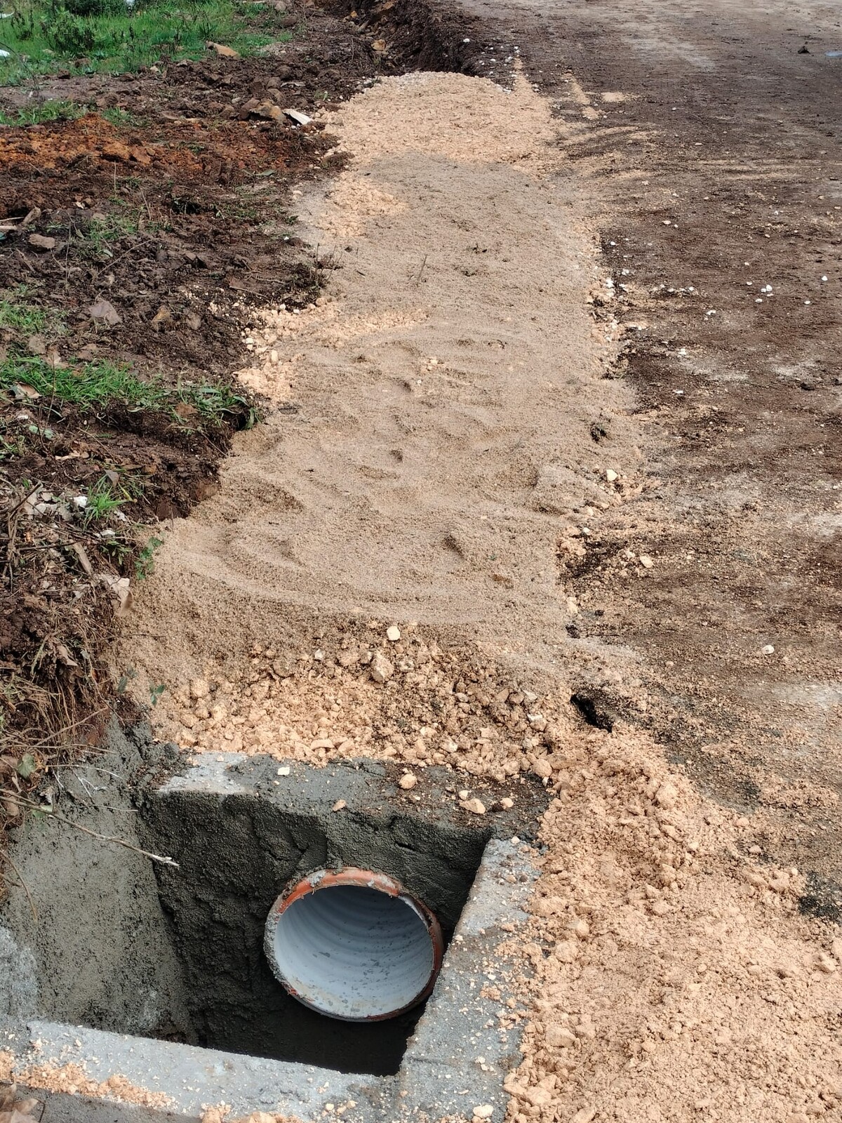 amioso_fundeiro_4_1_2500_2500