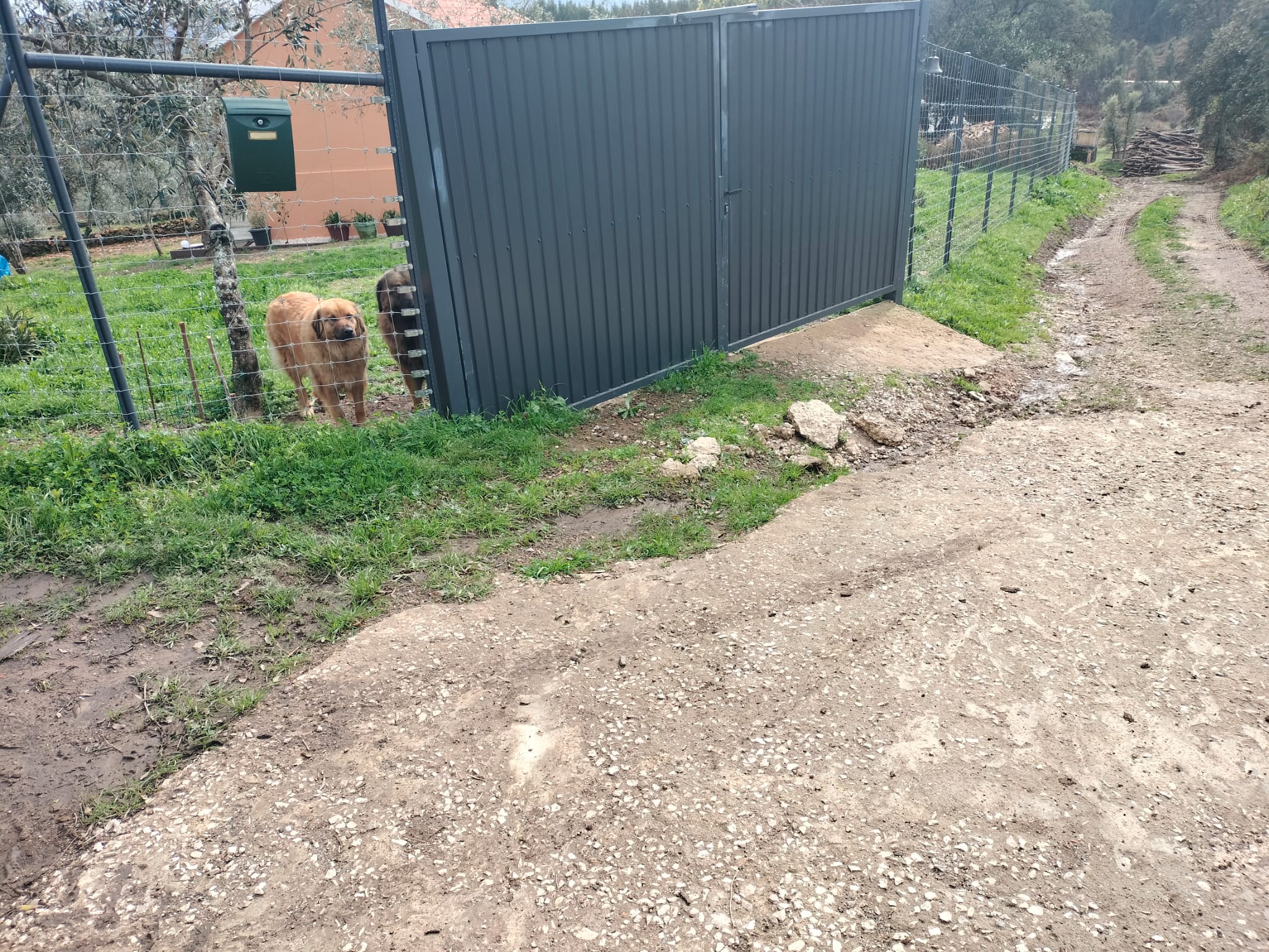 amioso_fundeiro_1_2500_2500