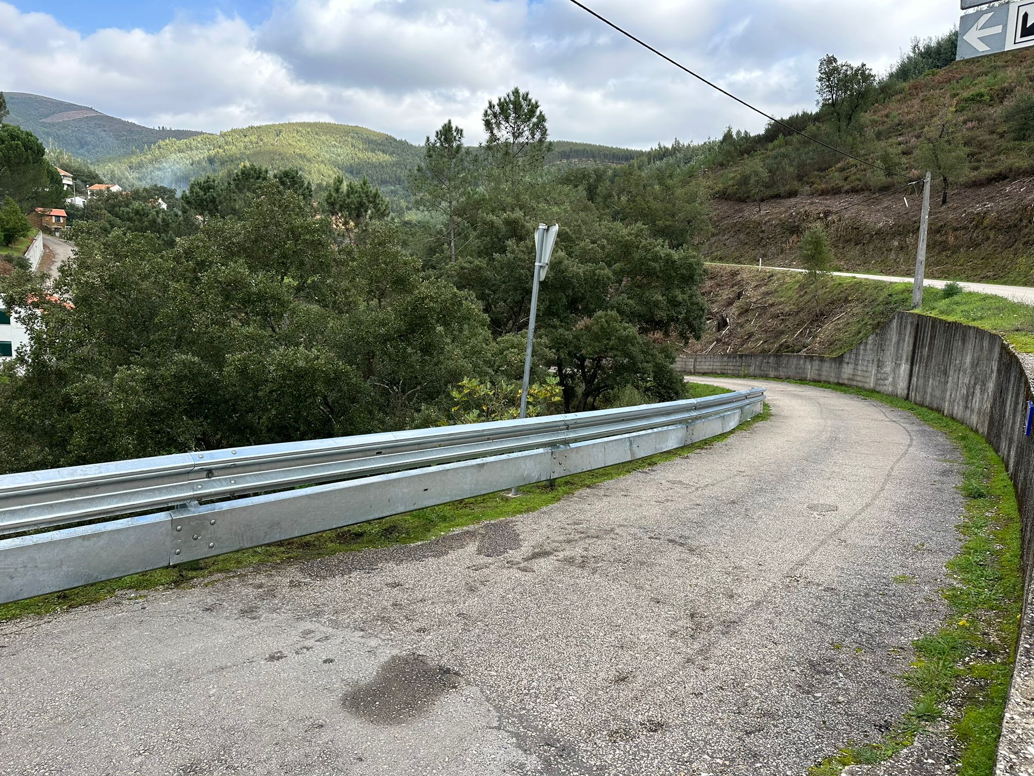 colmeal__2__1_2500_2500