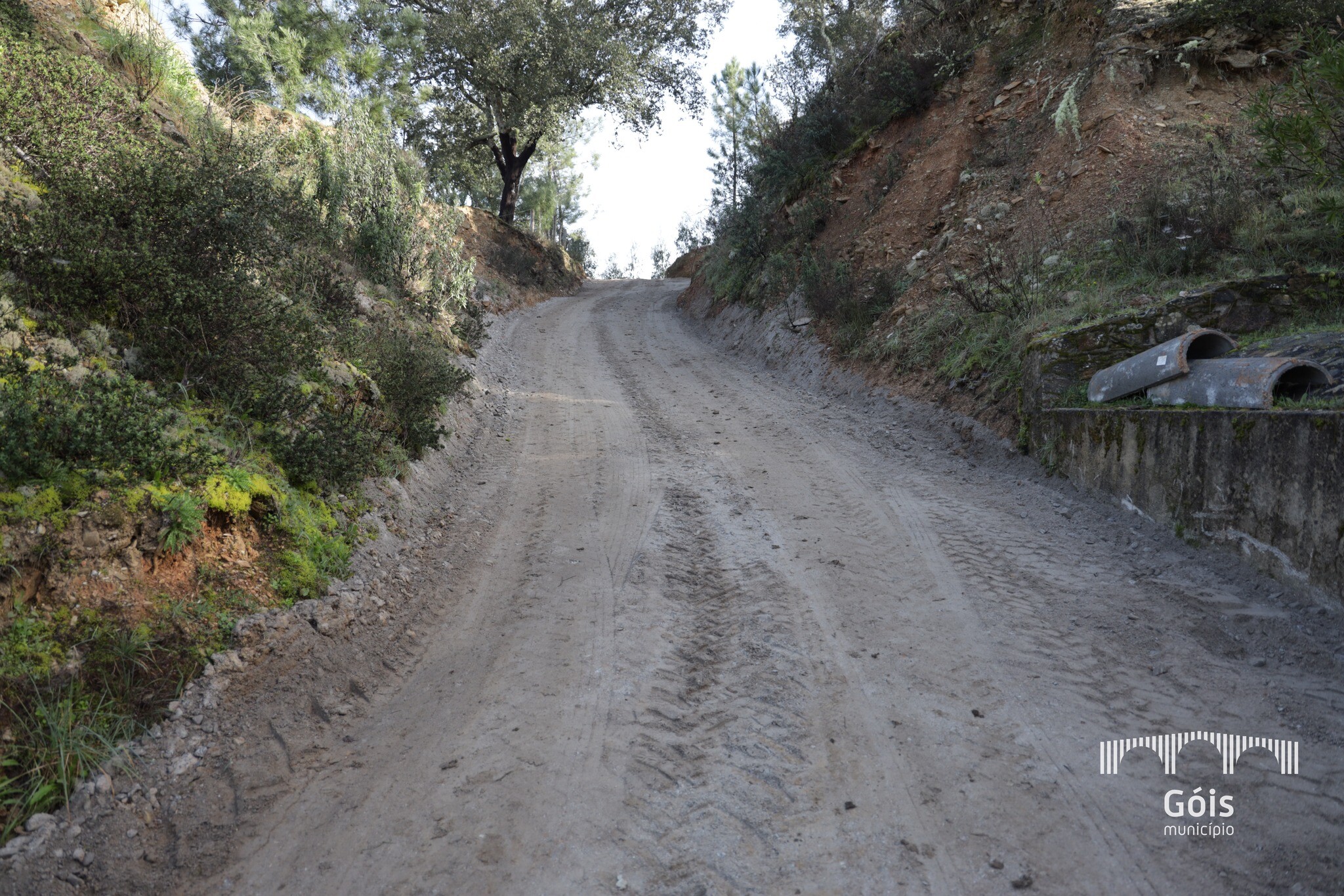 426309385_798137965686498_7825077233129214904_n_1_2500_2500