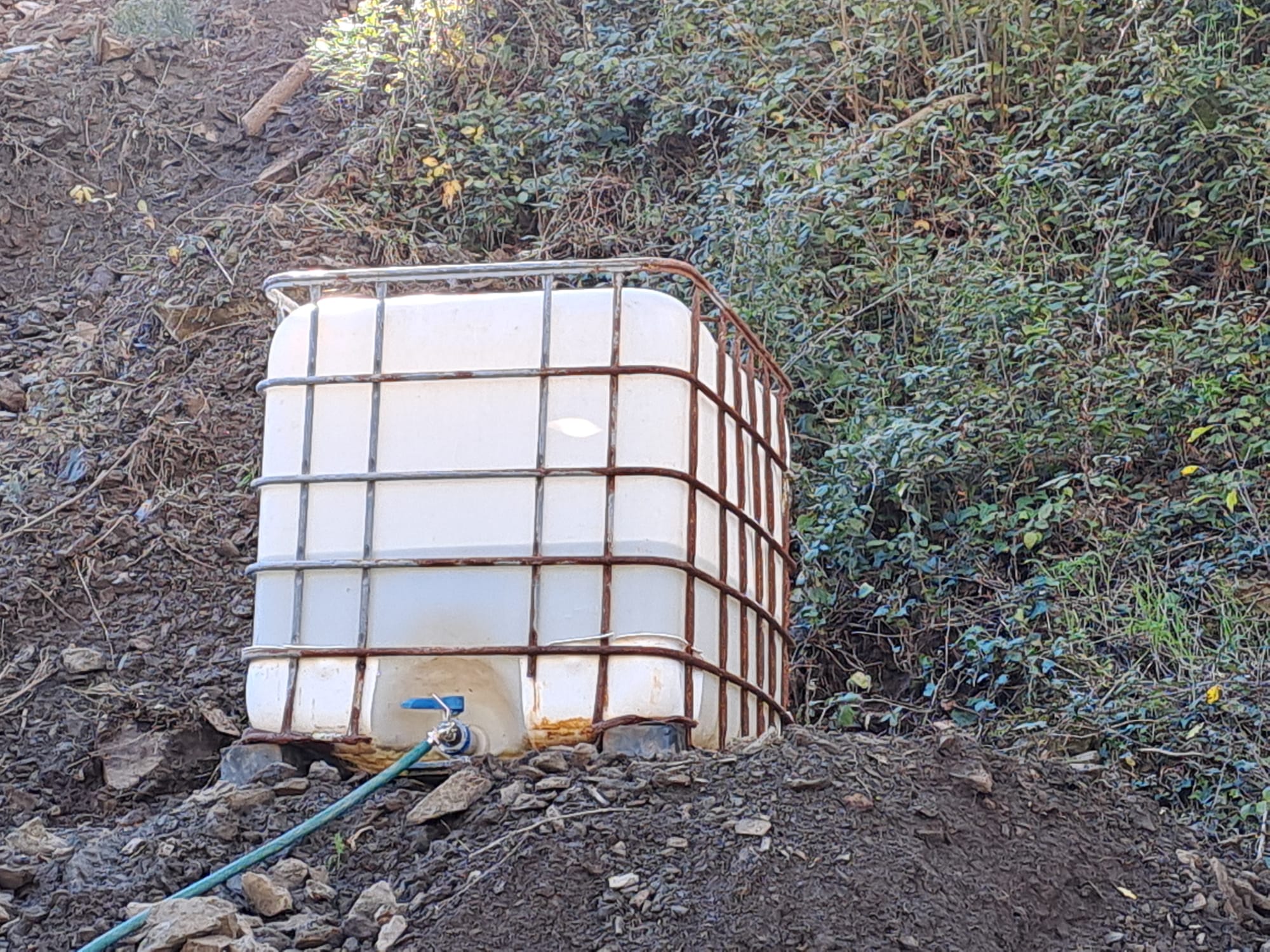 426520738_803340161832945_5161102023045080956_n_1_2500_2500