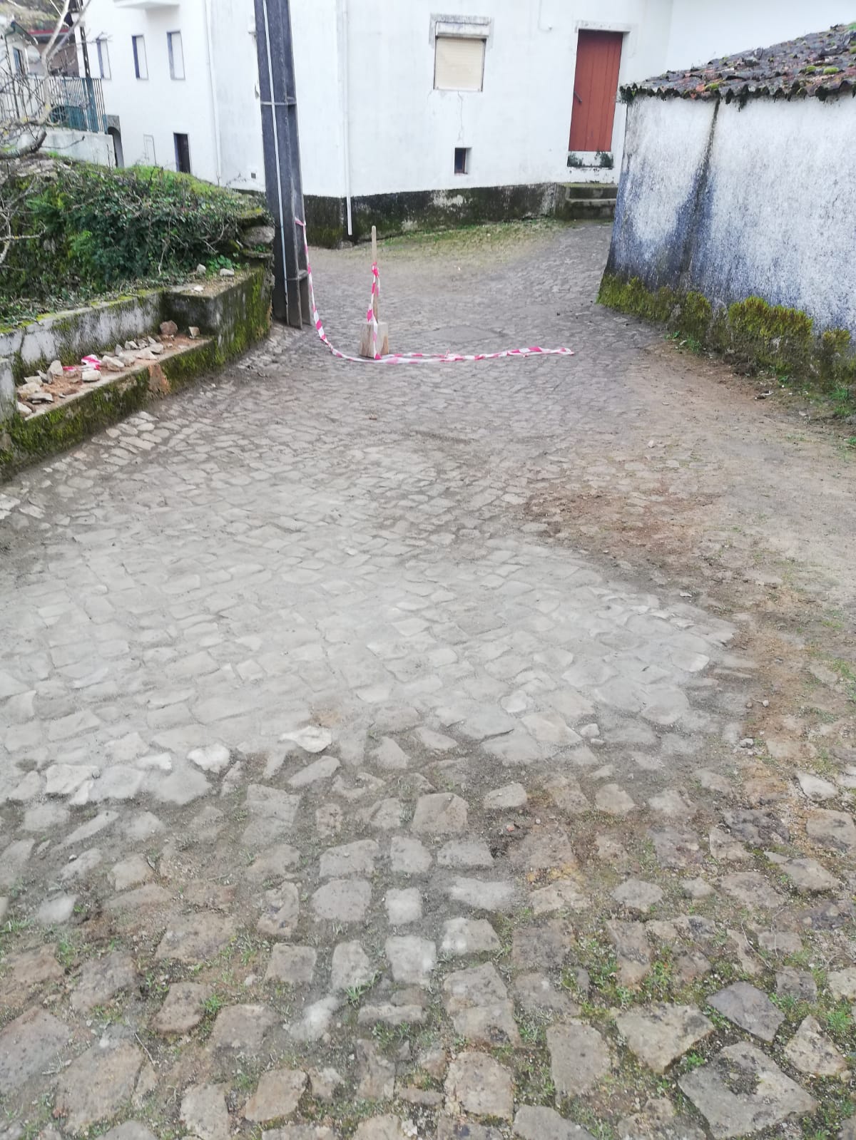 434778314_833271768839784_4358248522886268913_n_1_2500_2500