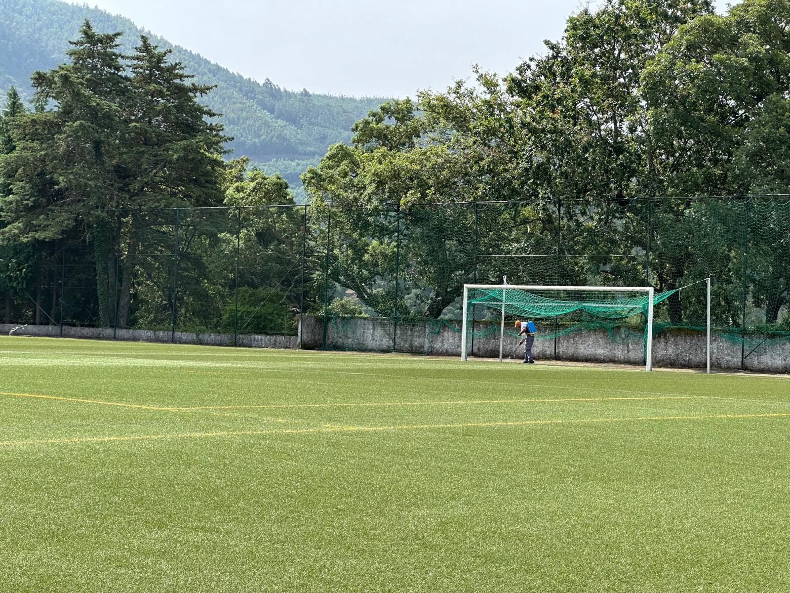 manutencao_relvado_campo_de_futebol_de_gois__9__1_2500_2500