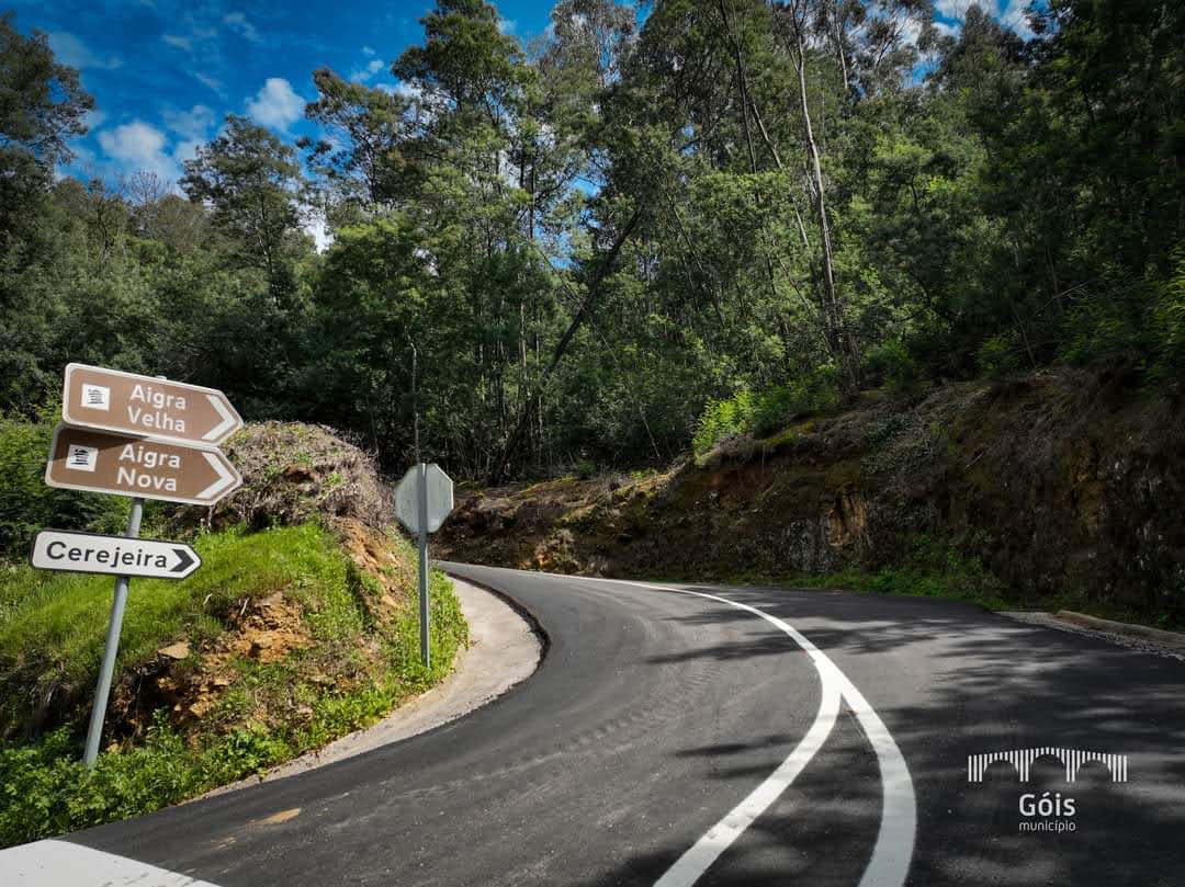 fb_img_1649958381420_1_2500_2500