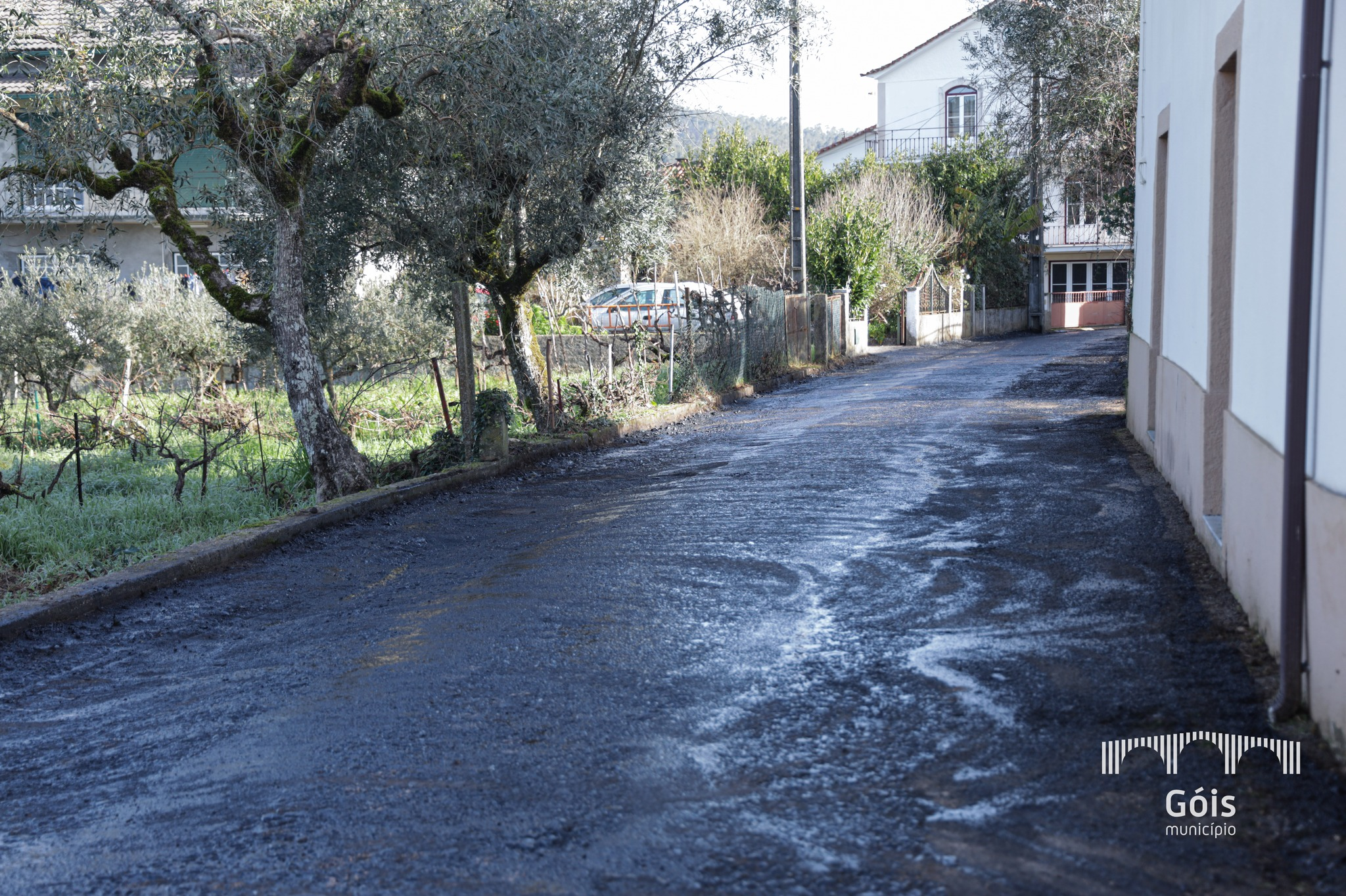 image__14__1_2500_2500