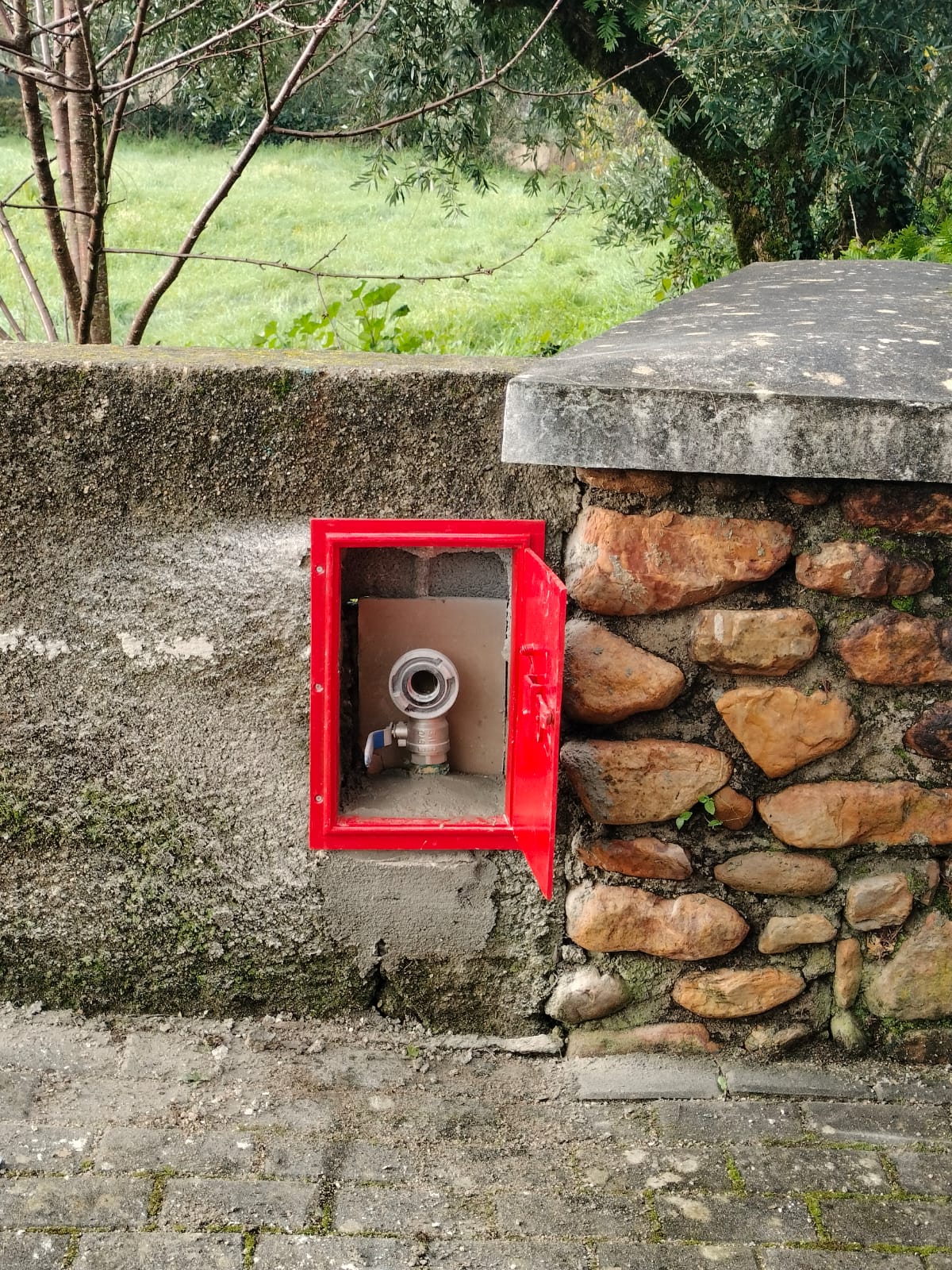 img_20240109_wa0072_1_2500_2500