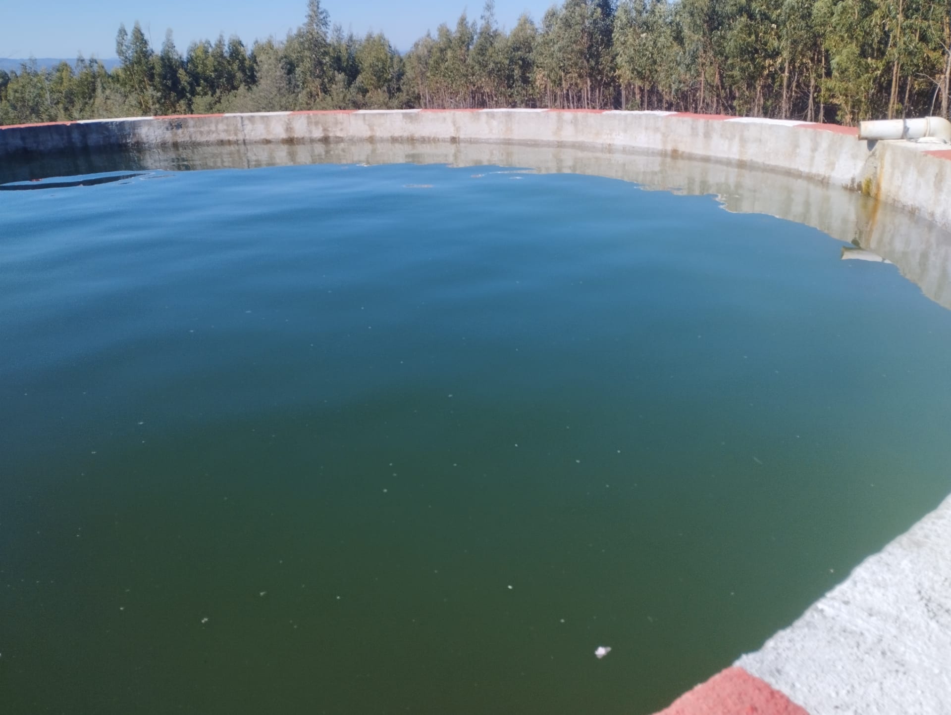 IMG-20221009-WA0071 (1)