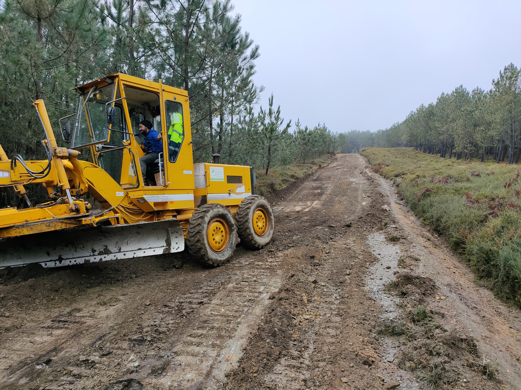 IMG20220310104604 (1)