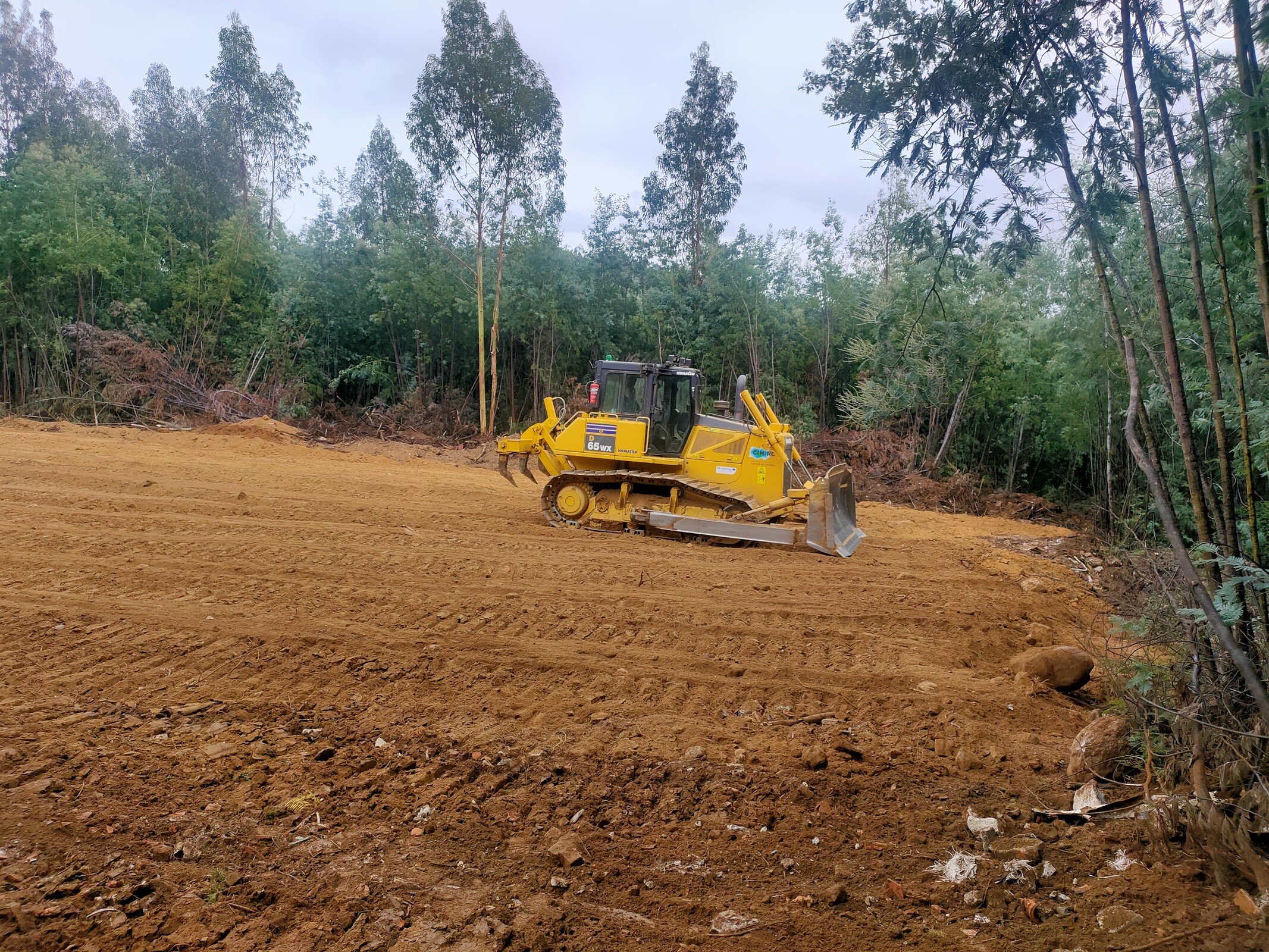 IMG20221021101739 (1)