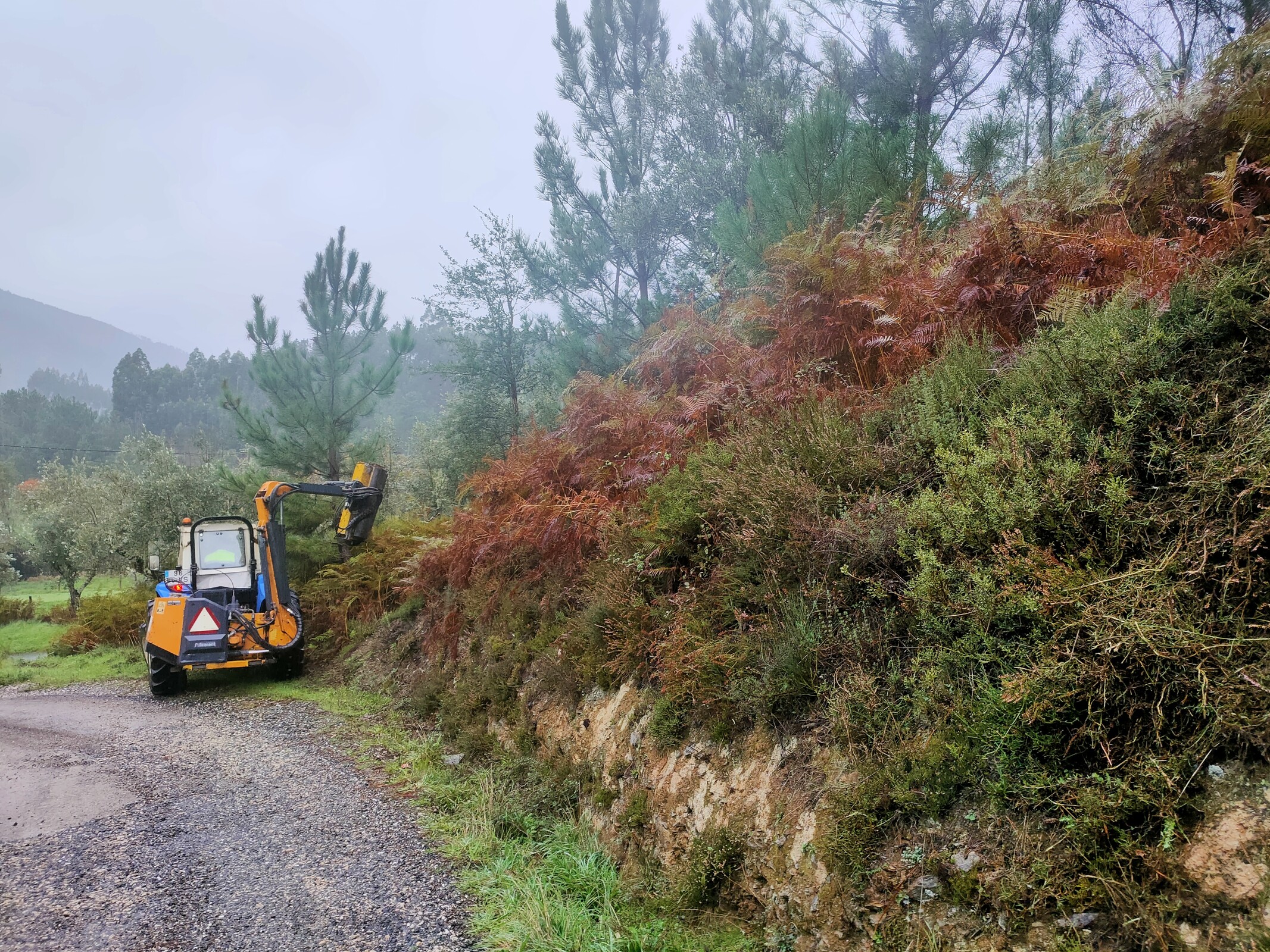 IMG20221115112253 (1)