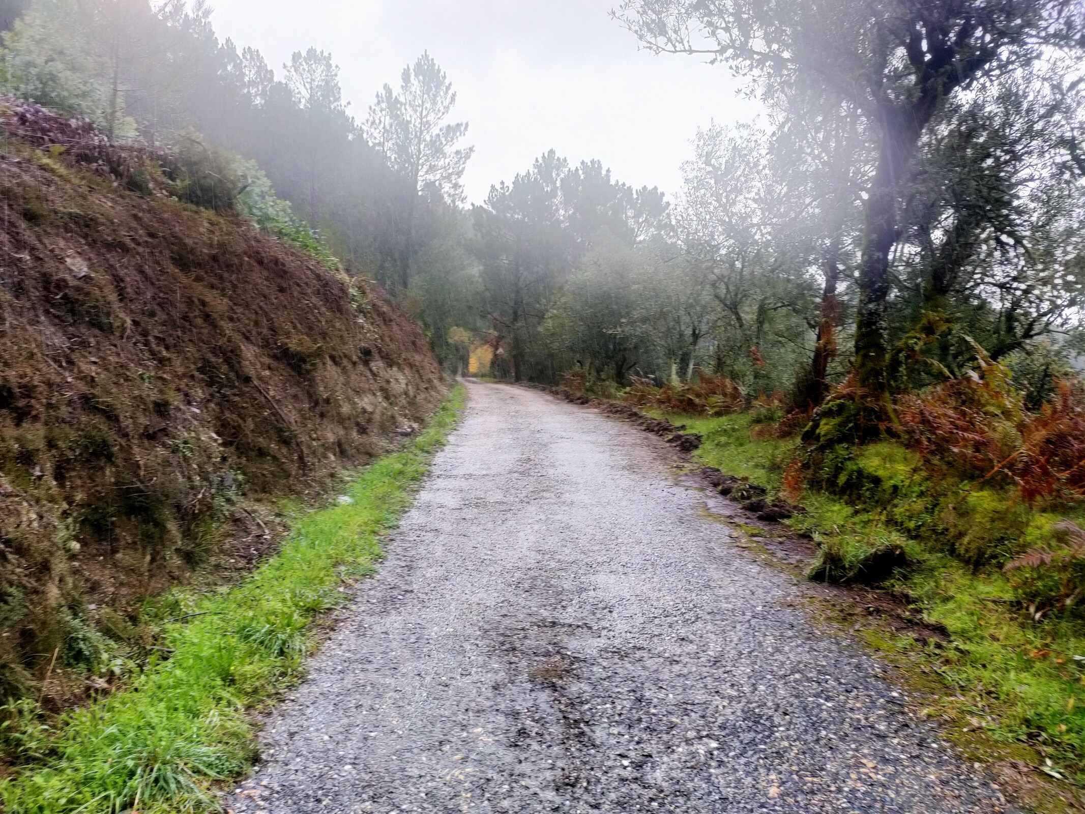 IMG20221115112259 (1)