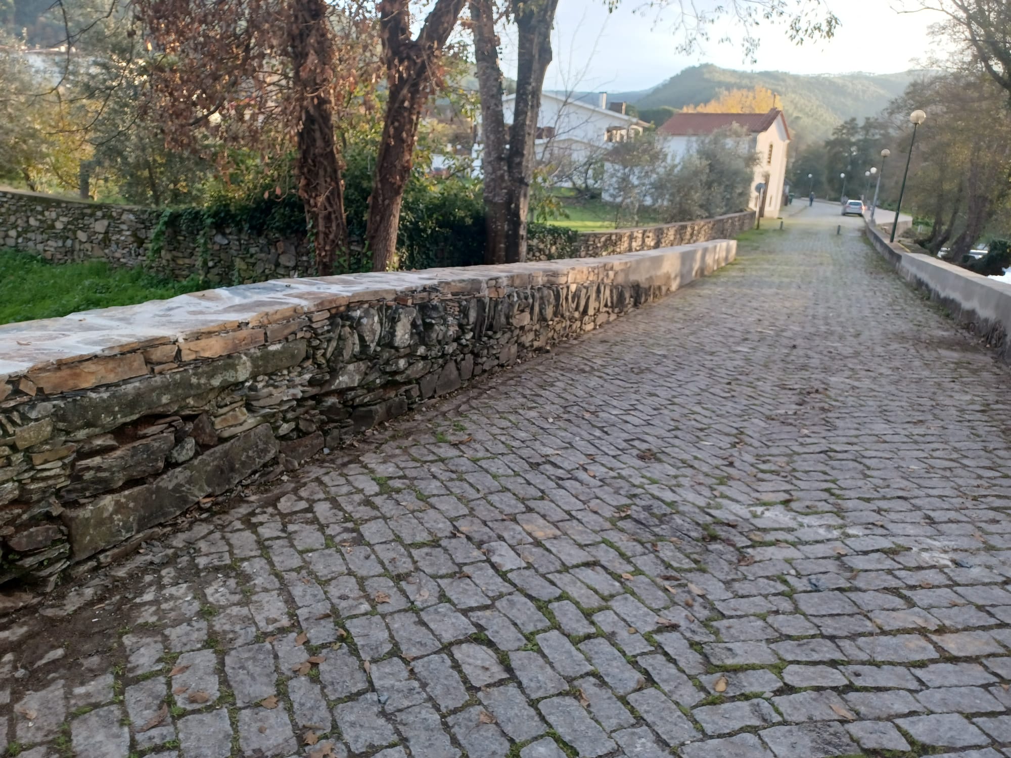 IMG-20221209-WA0029 (1)