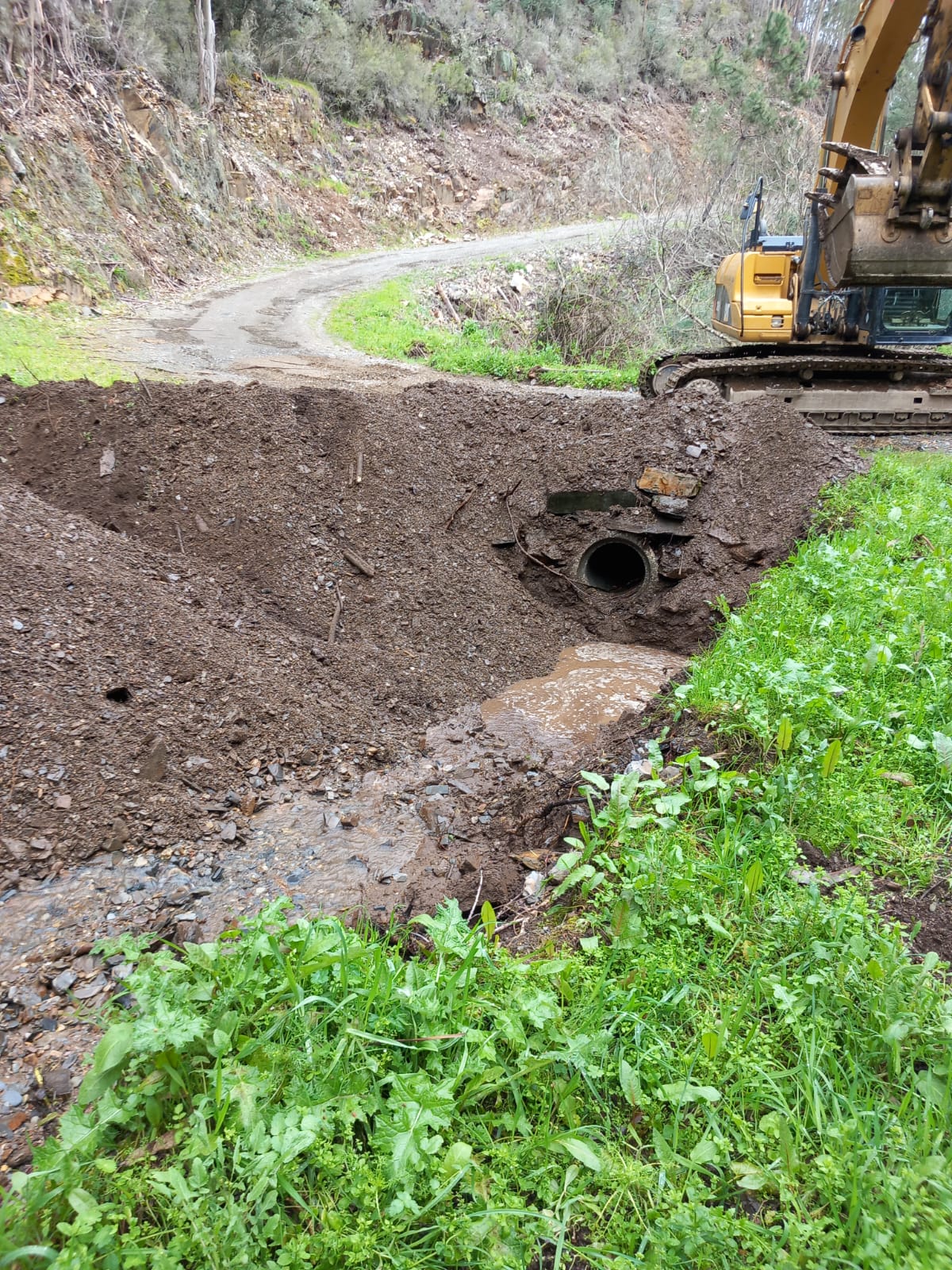 IMG-20230306-WA0007 (1)