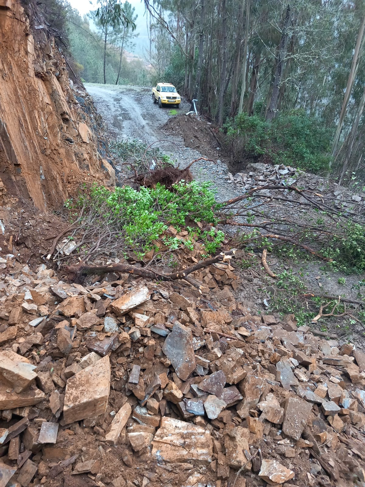 IMG-20230307-WA0002 (1)