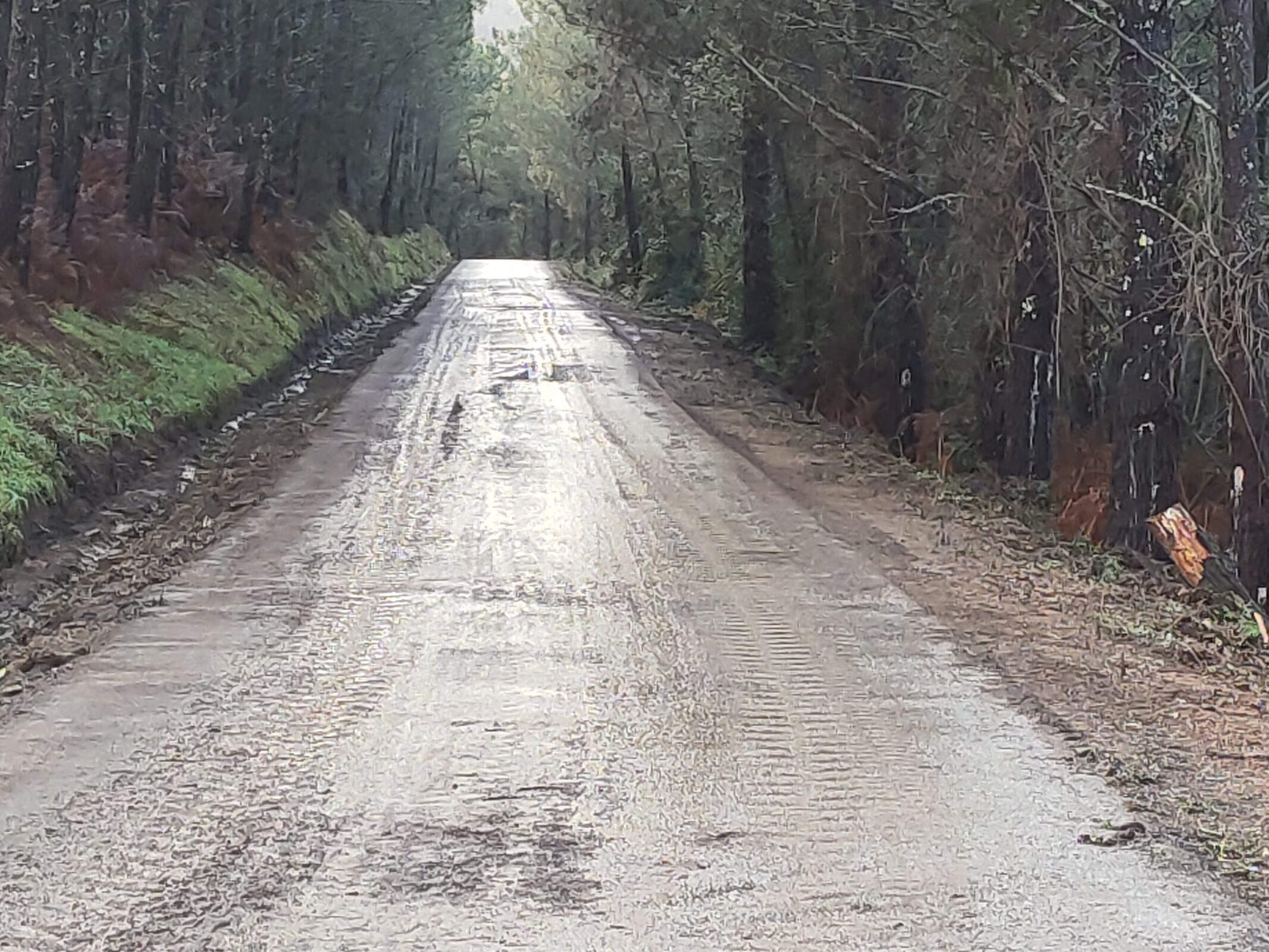 IMG20221220152639 (1)