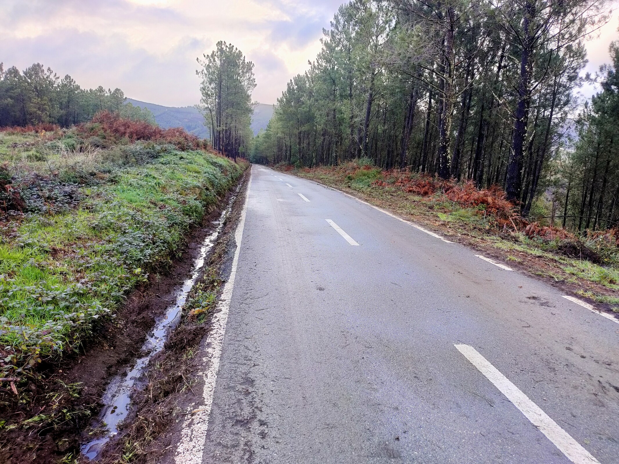 IMG20221220152548 (1)