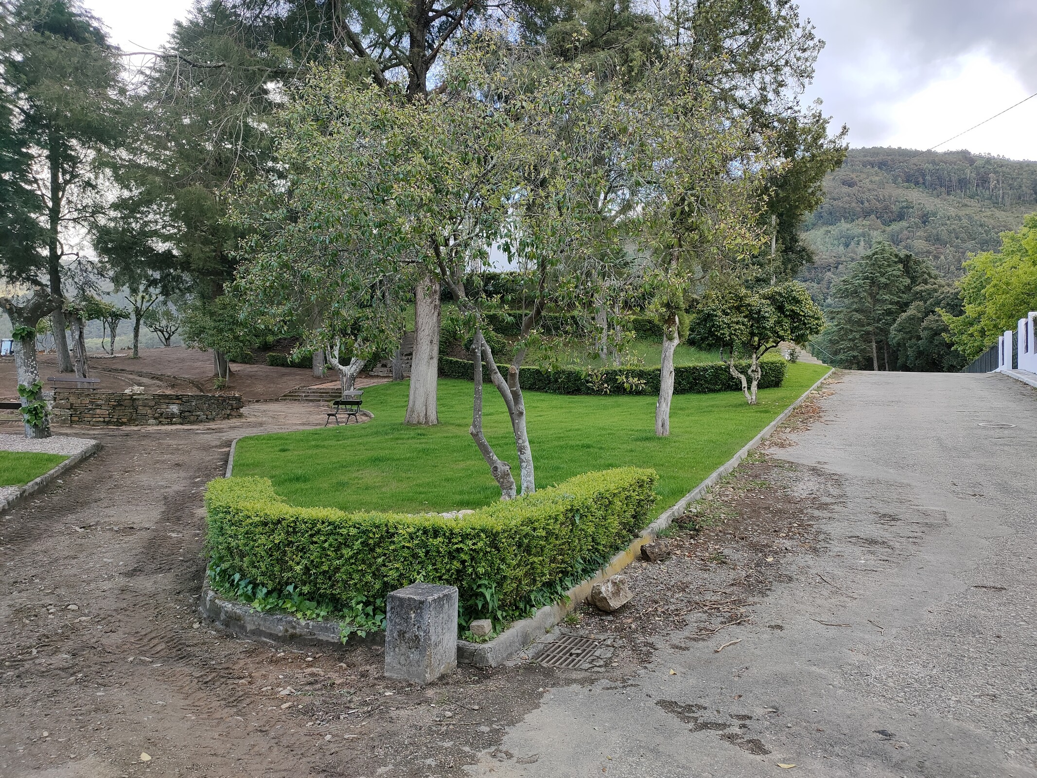 IMG20220427191559 (1)