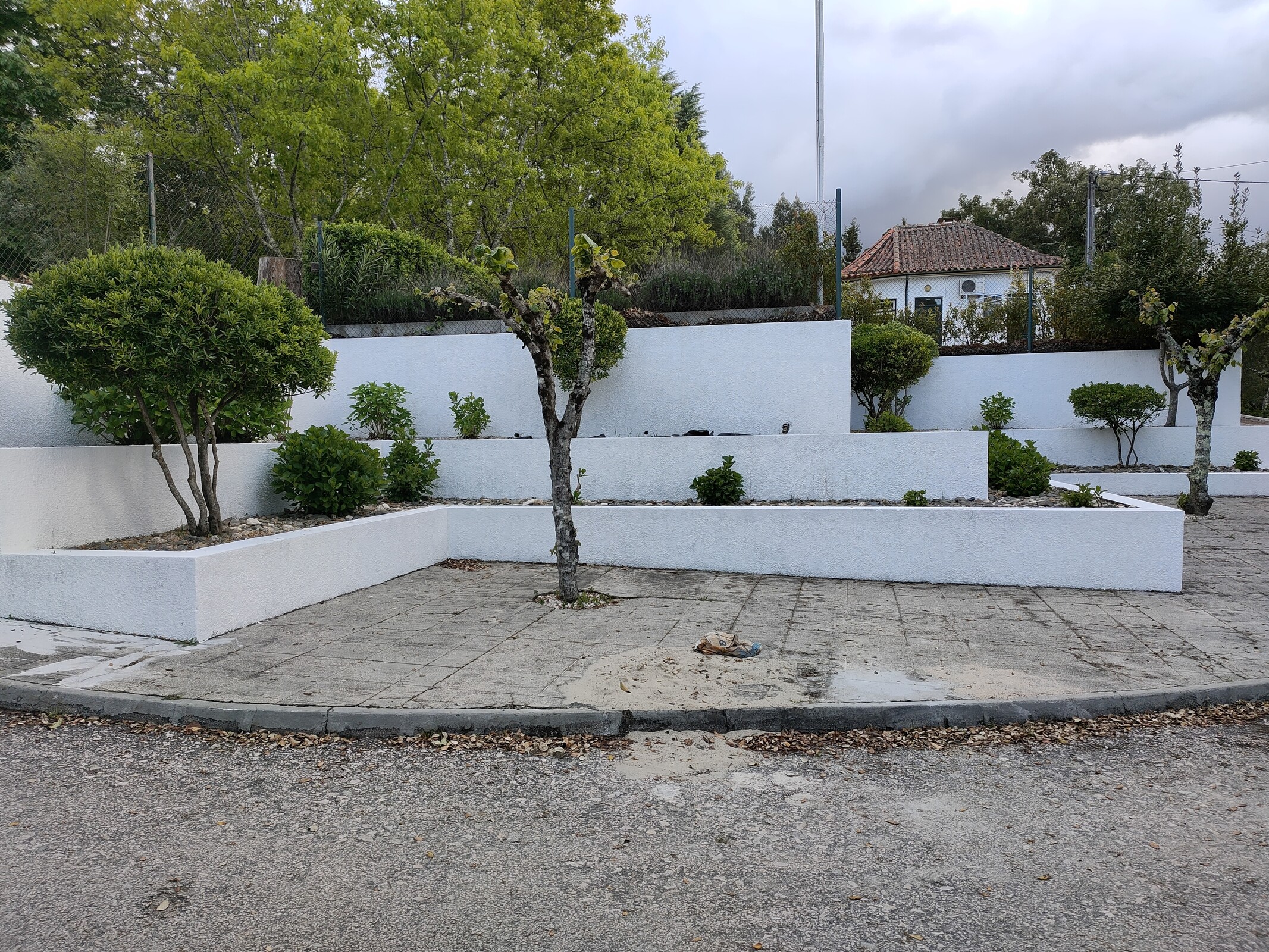 IMG20220427191605 (1)