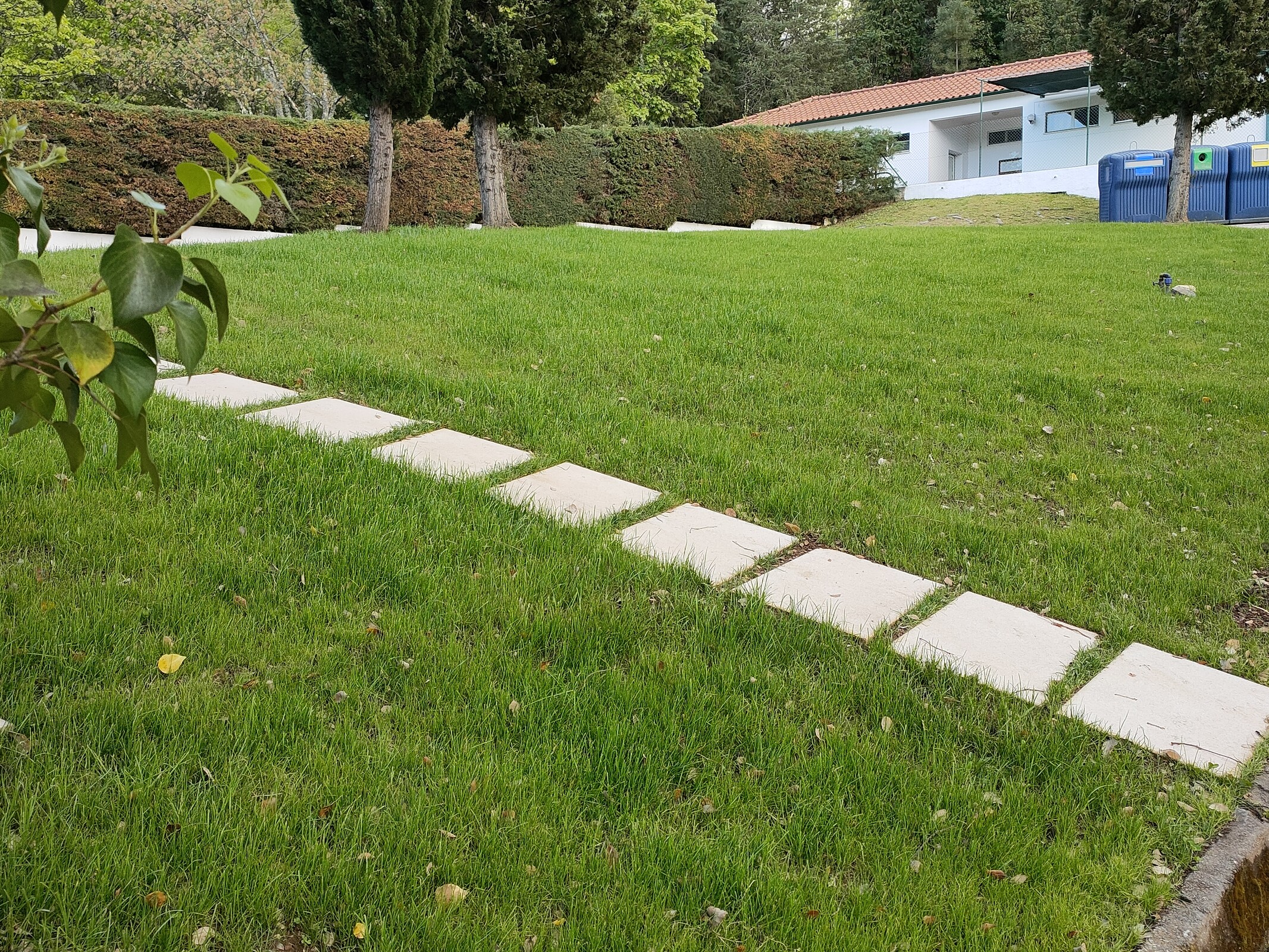 IMG20220427192656 (1)