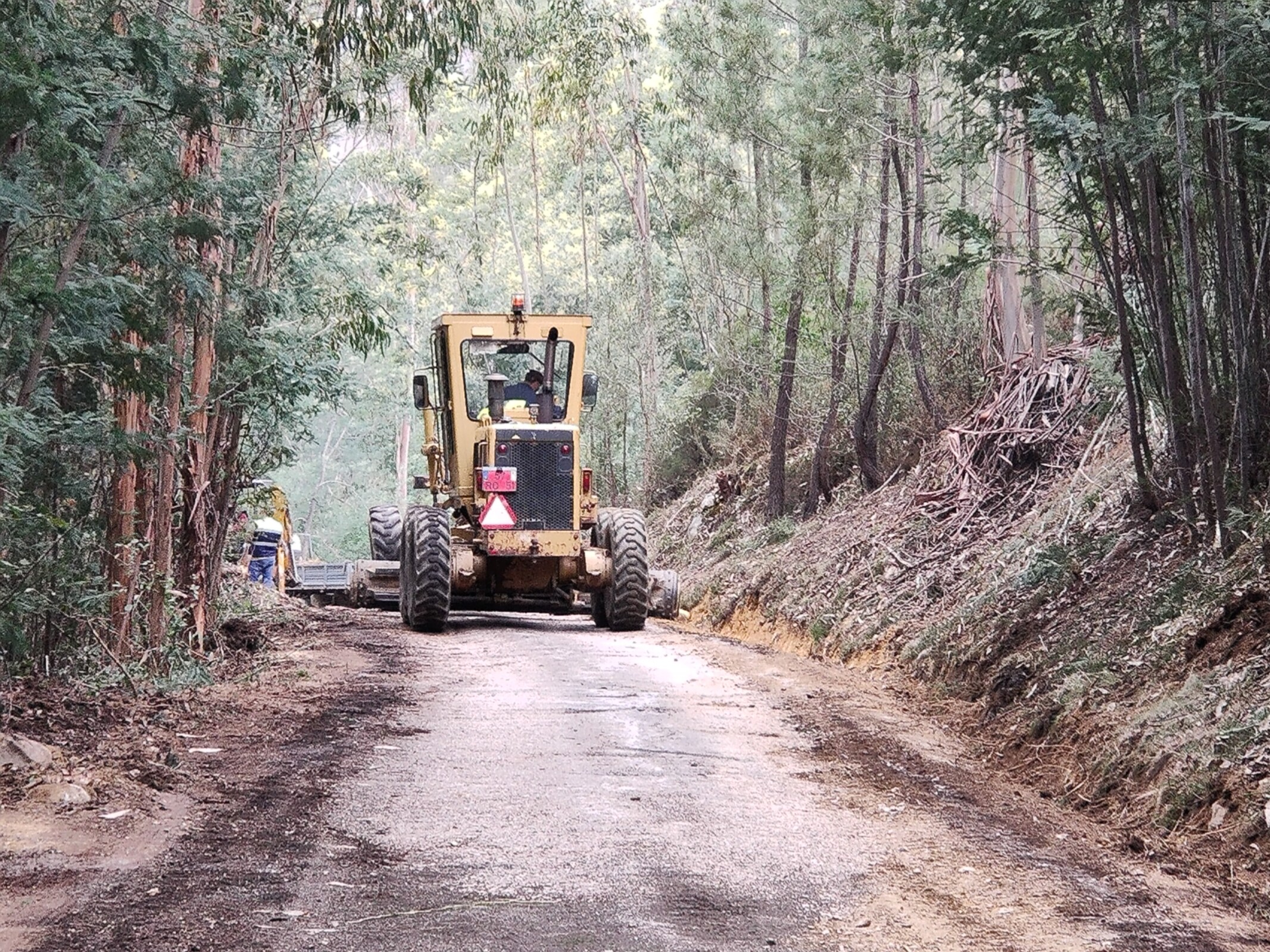 IMG20220309141047 (1)