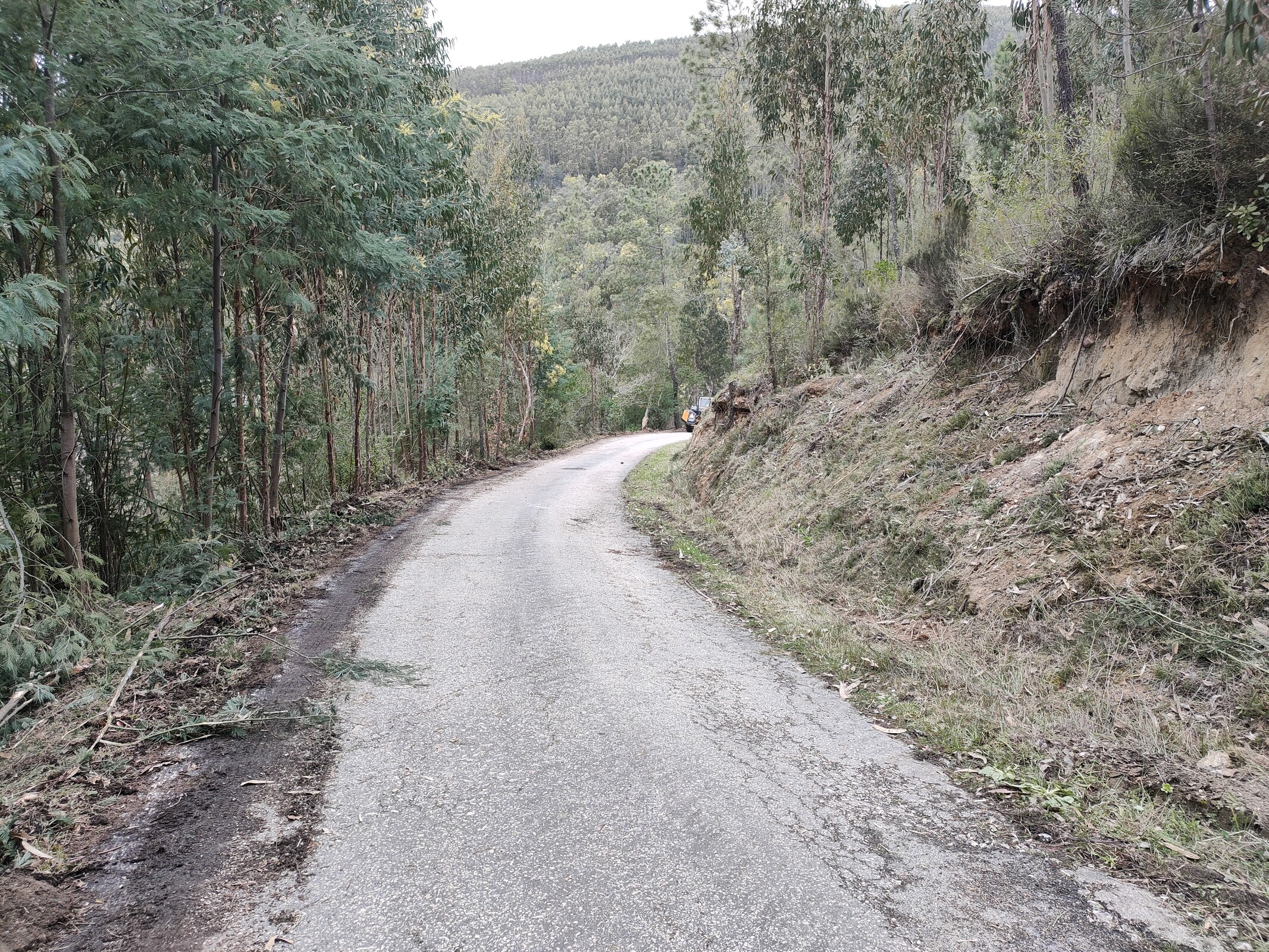 IMG20220309141418 (1)